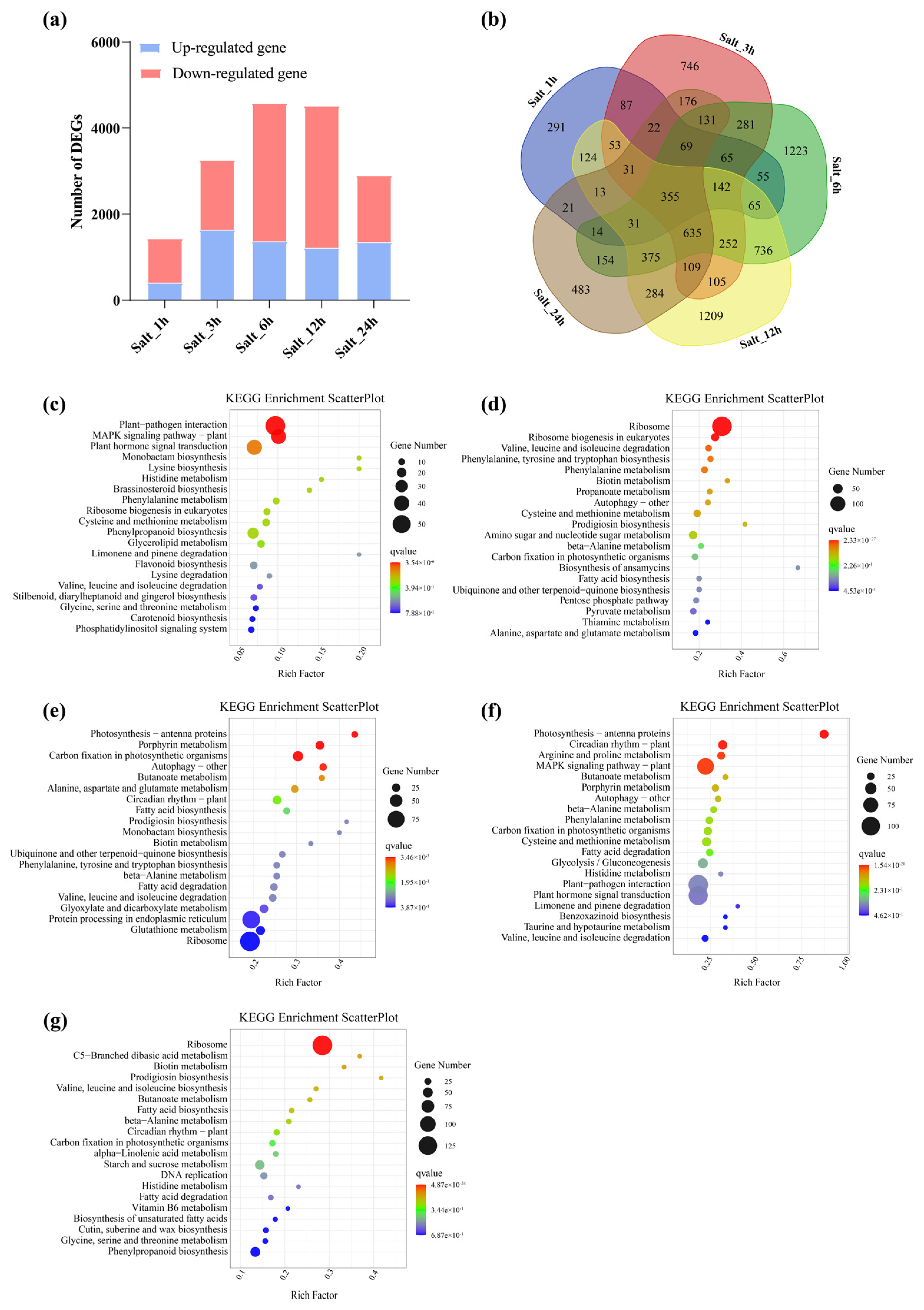 Genes 14 01943 g008
