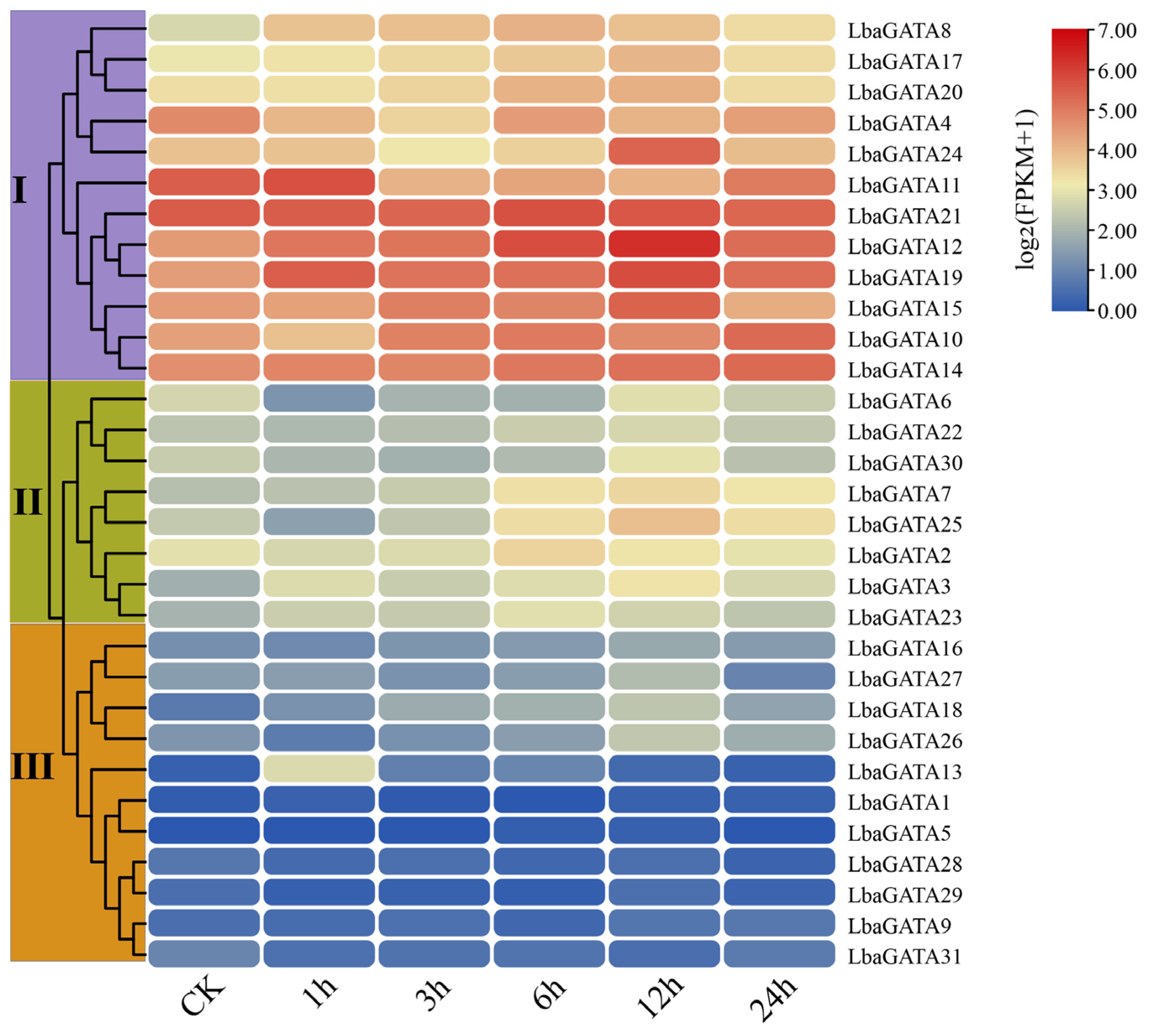 Genes 14 01943 g009