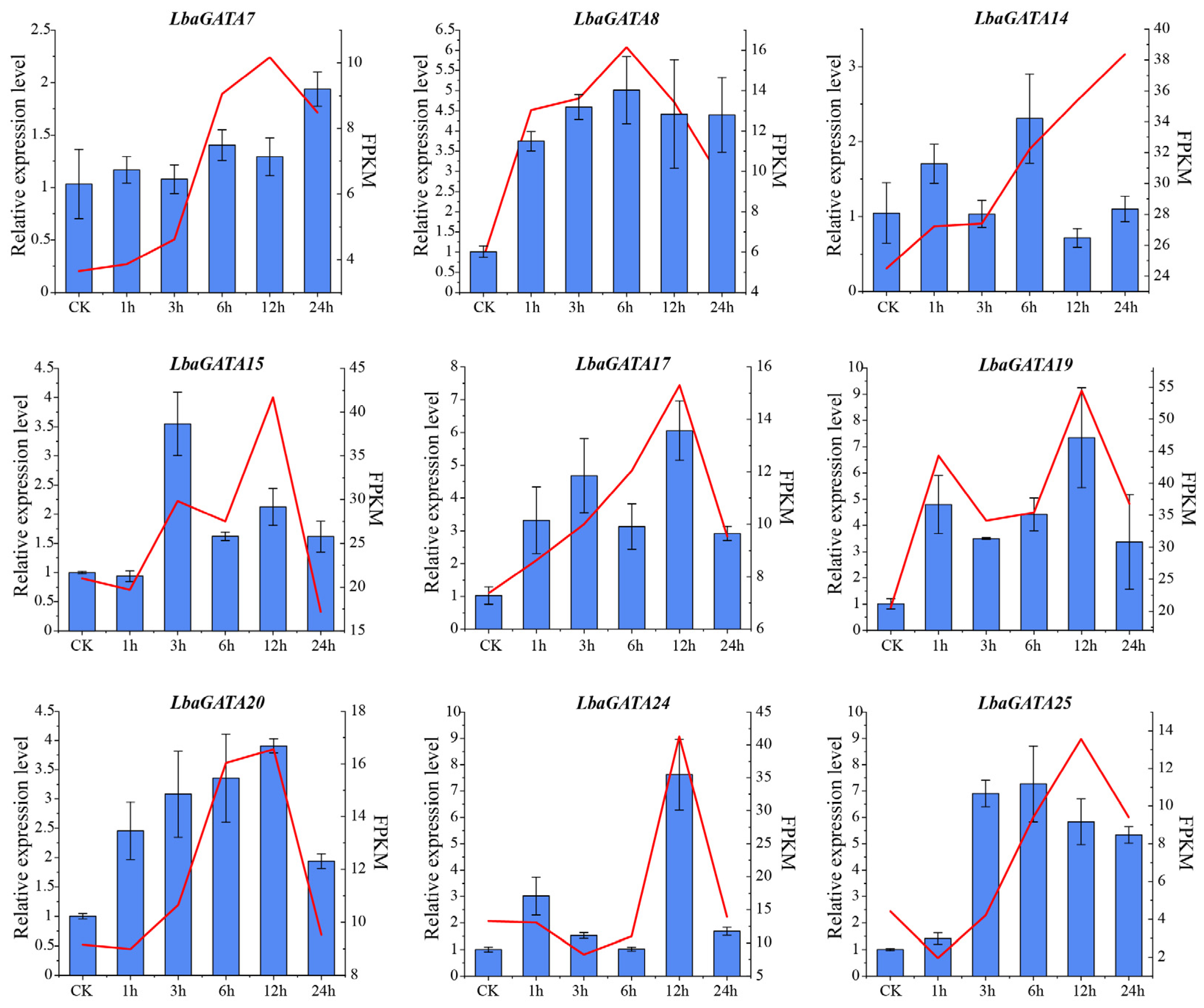 Genes 14 01943 g010