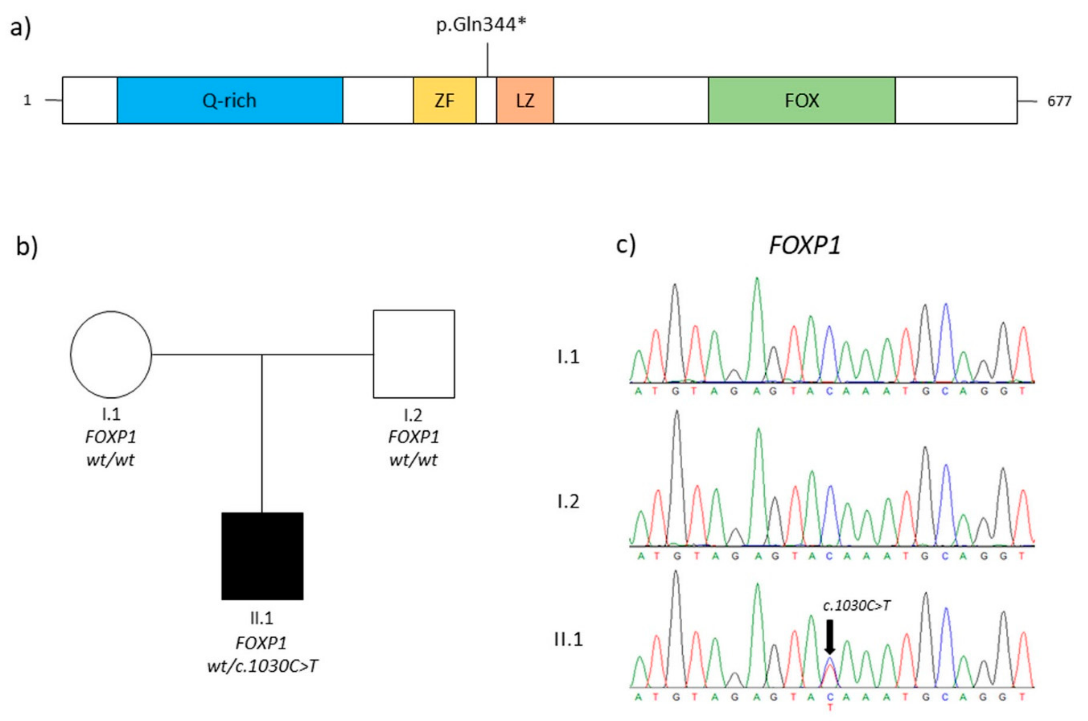 Genes 14 01958 g001