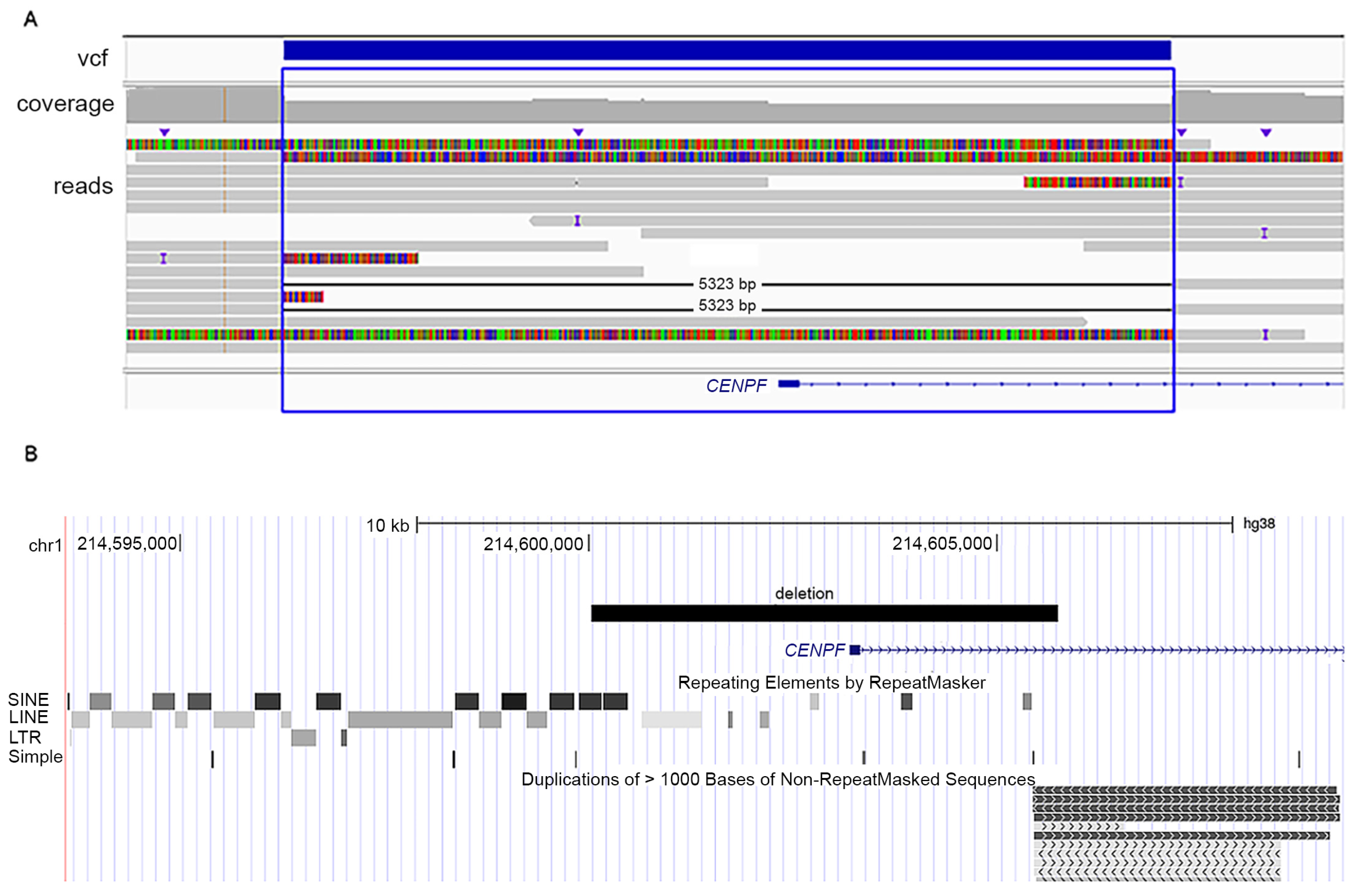 Genes 14 01985 g003