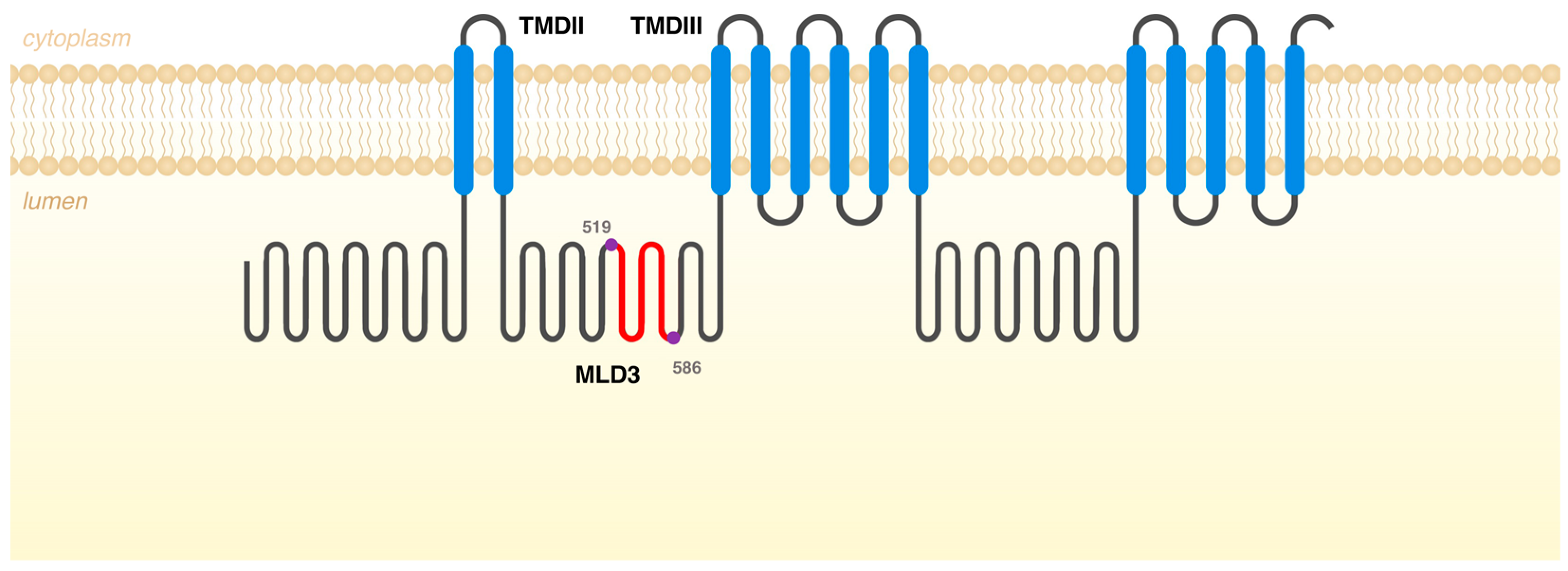 Genes 14 01990 g003 Genes 14 01990 g003