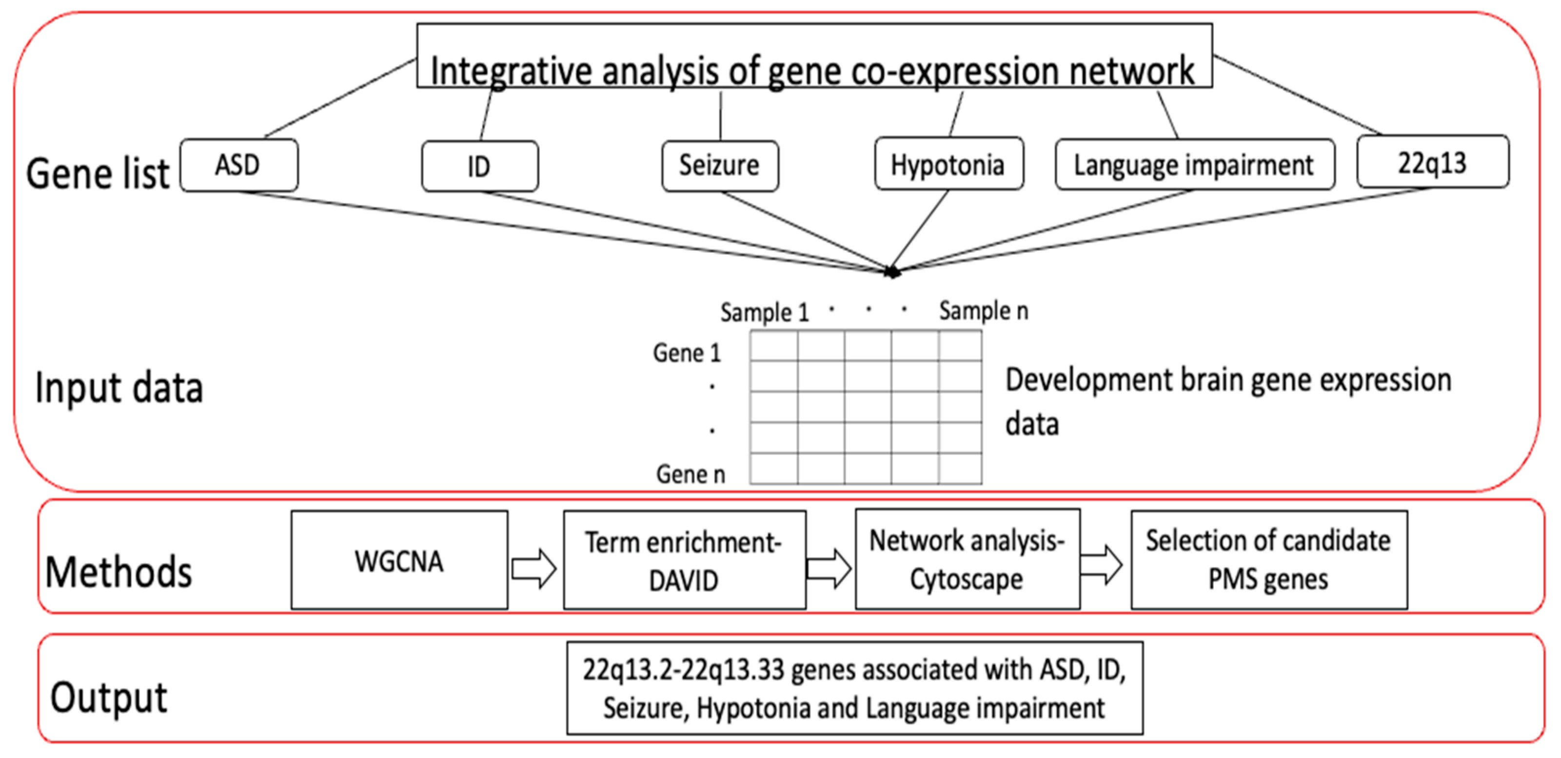 Genes 14 01998 g001 Genes 14 01998 g001