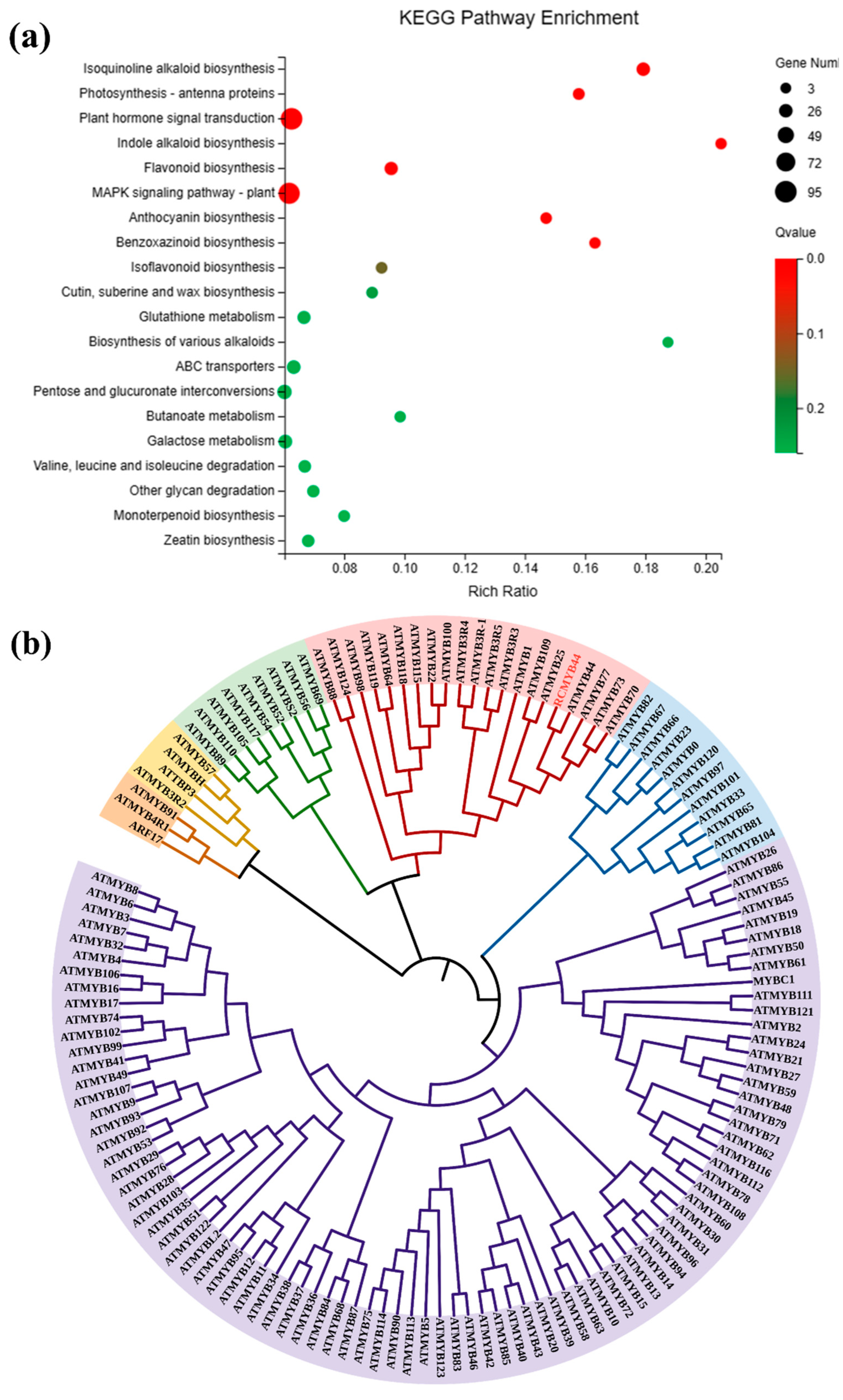 Genes 14 02022 g002a