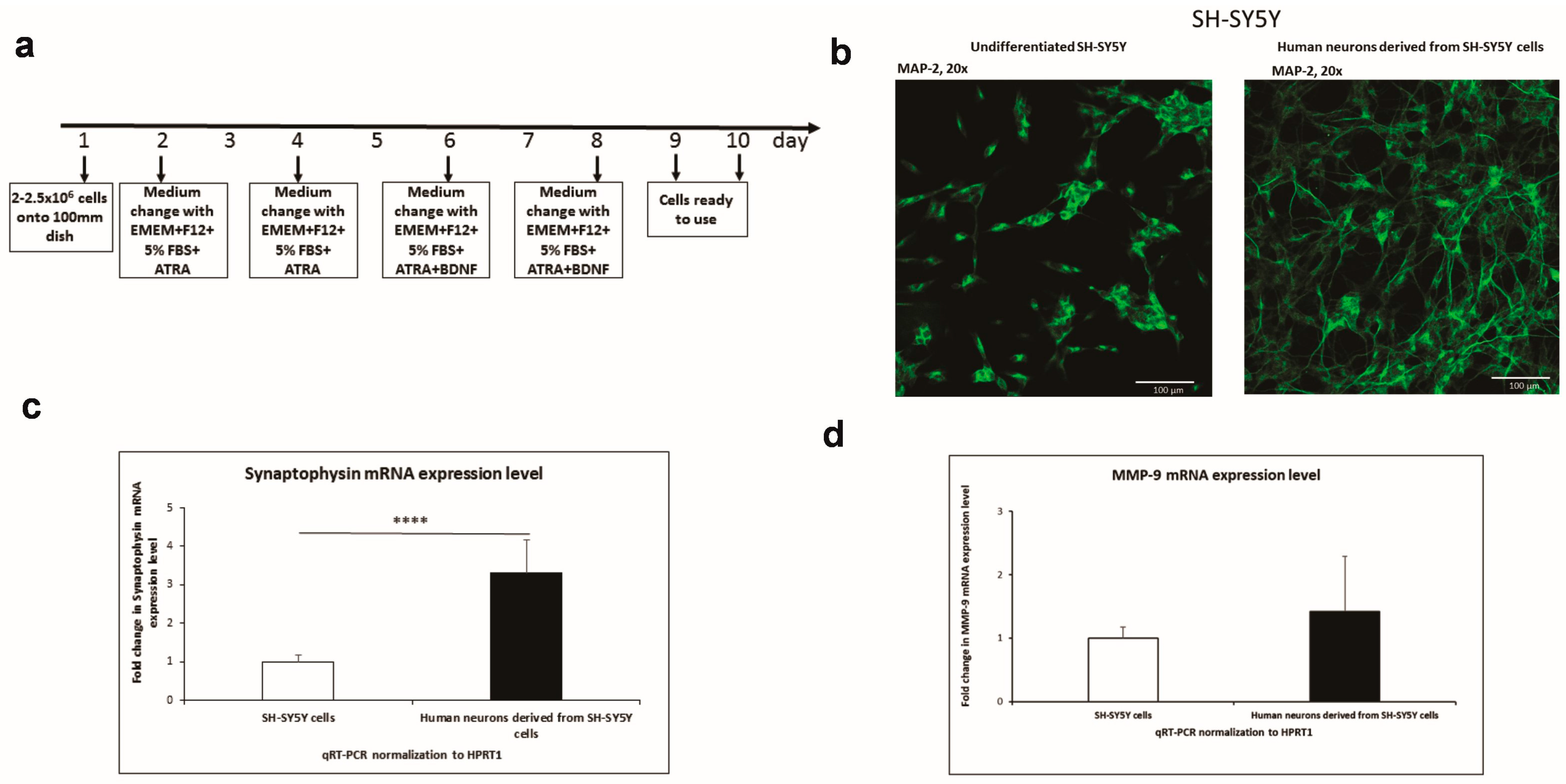 Genes 14 02028 g001 Genes 14 02028 g001