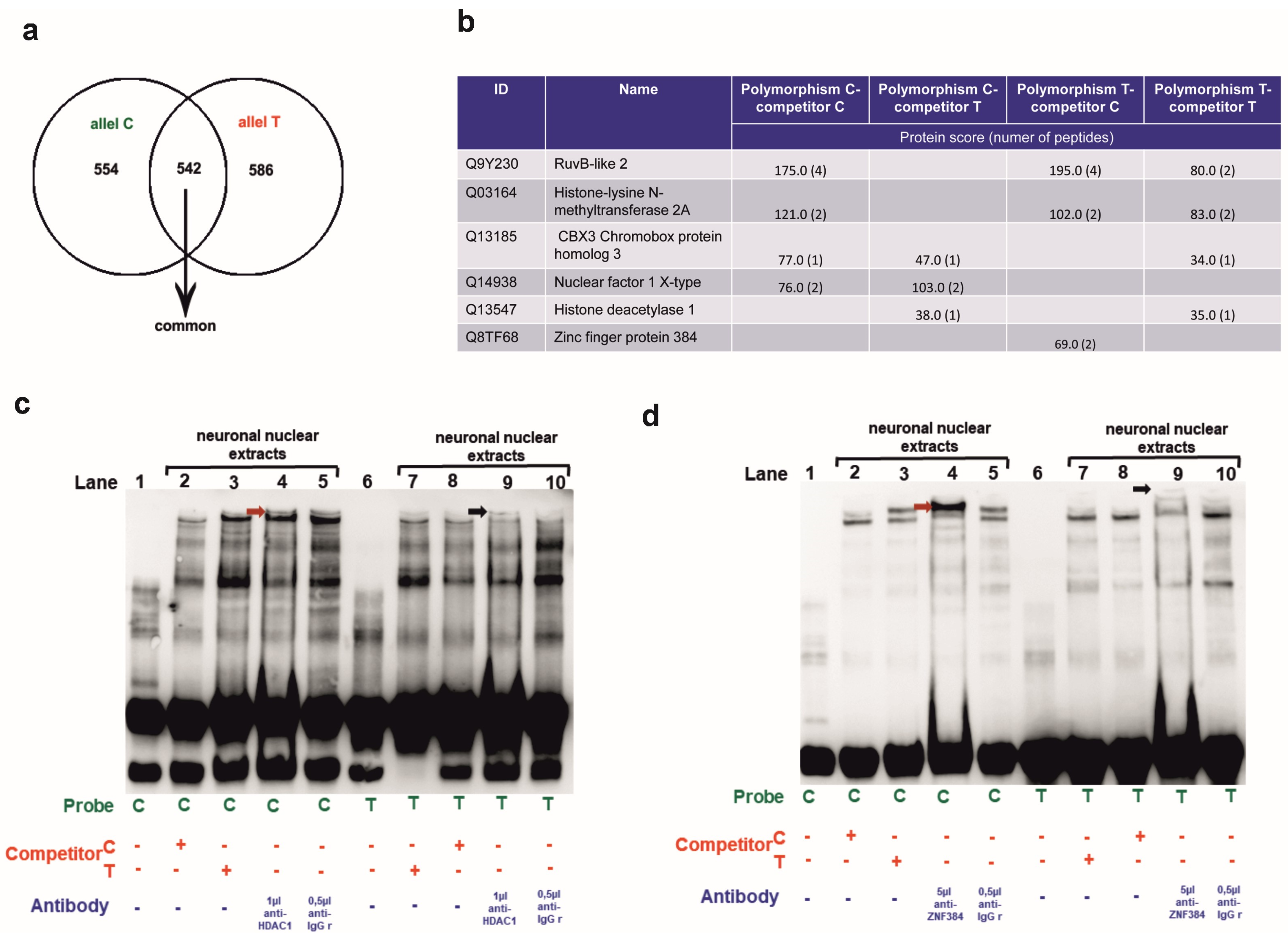 Genes 14 02028 g003 Genes 14 02028 g003