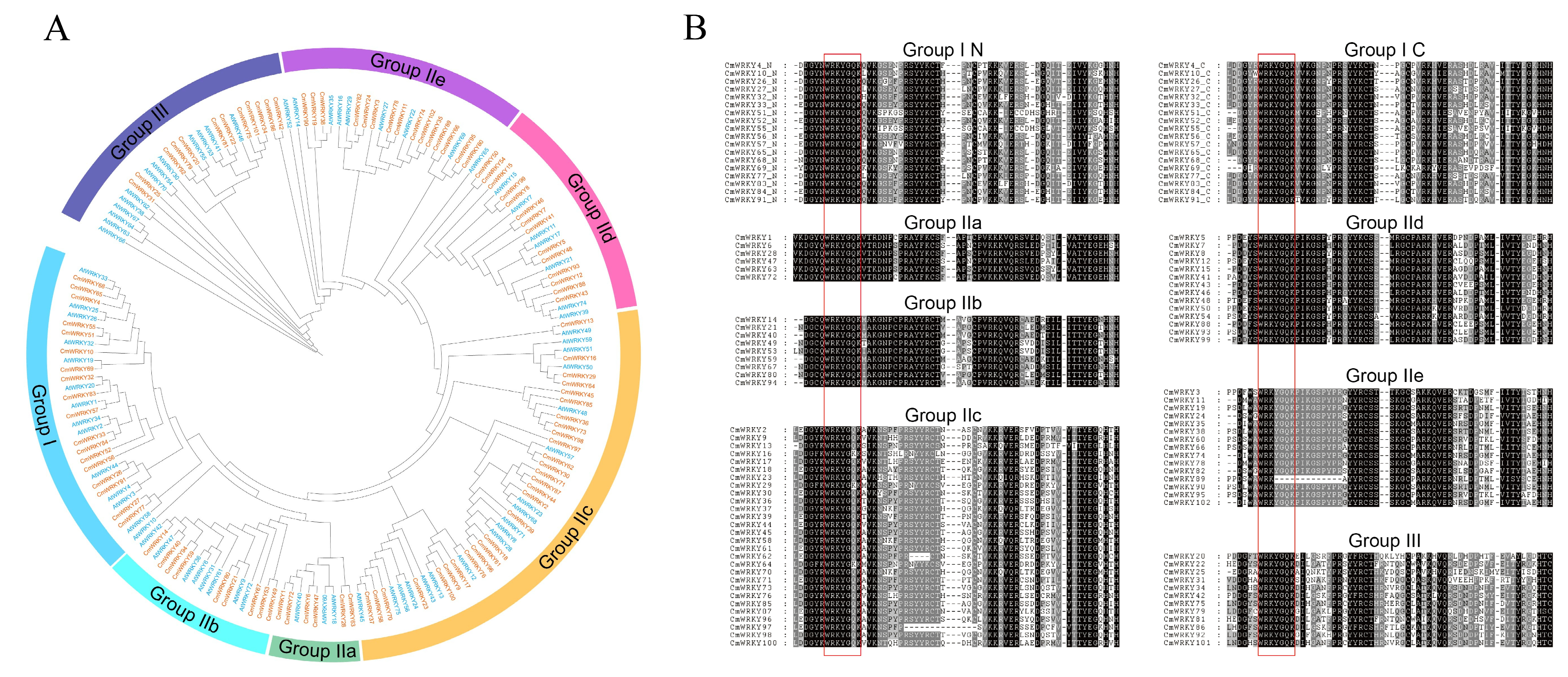 Genes 14 02030 g002