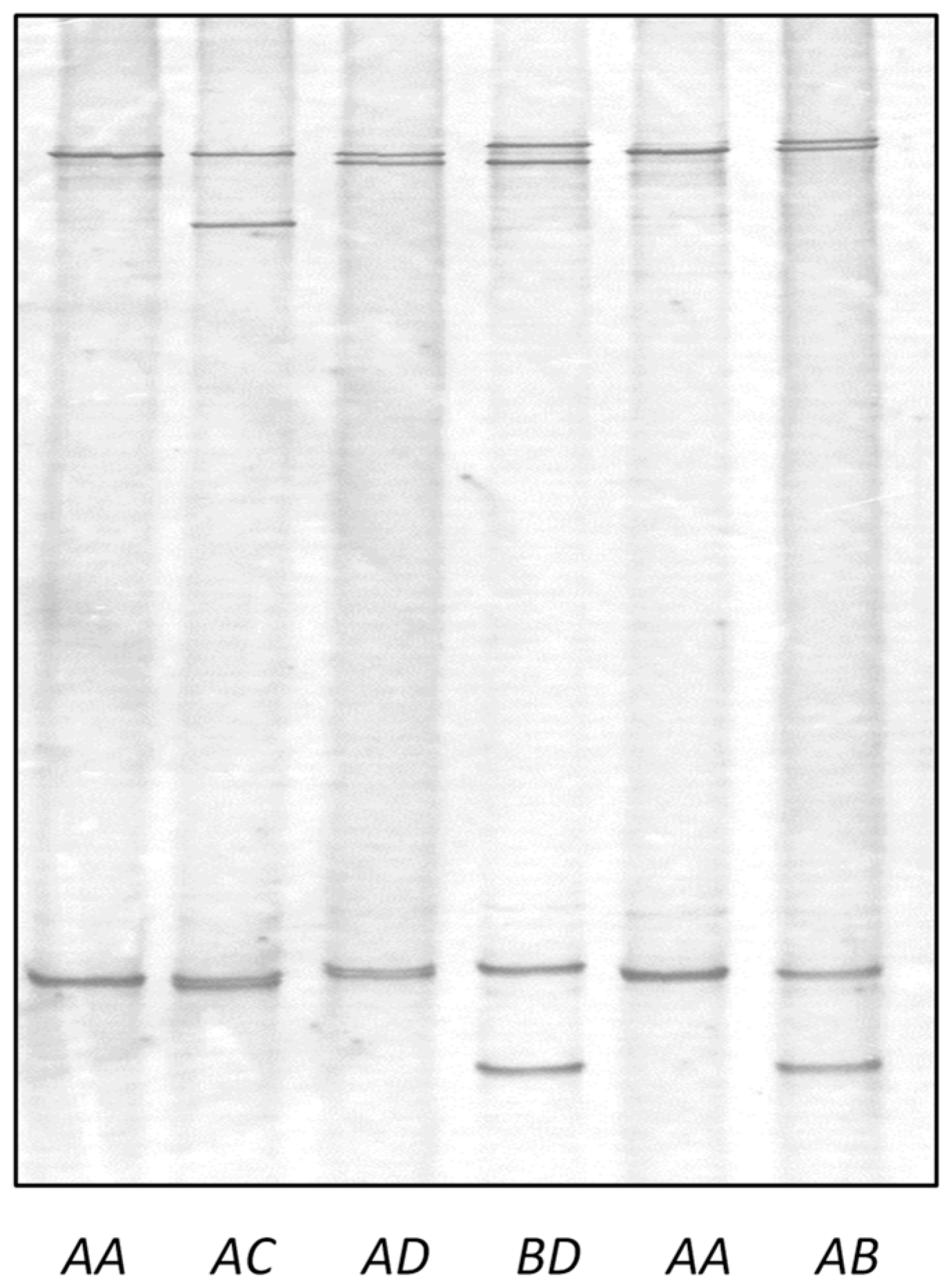 Genes 14 02045 g003