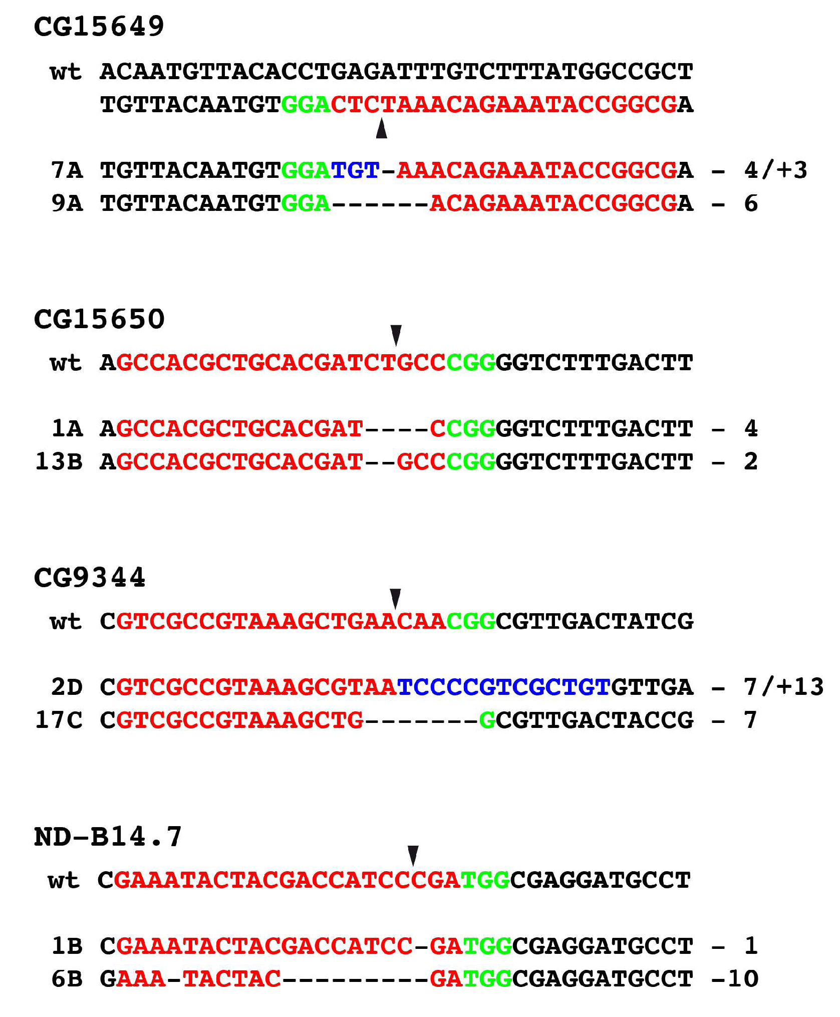 Genes 14 02047 g005