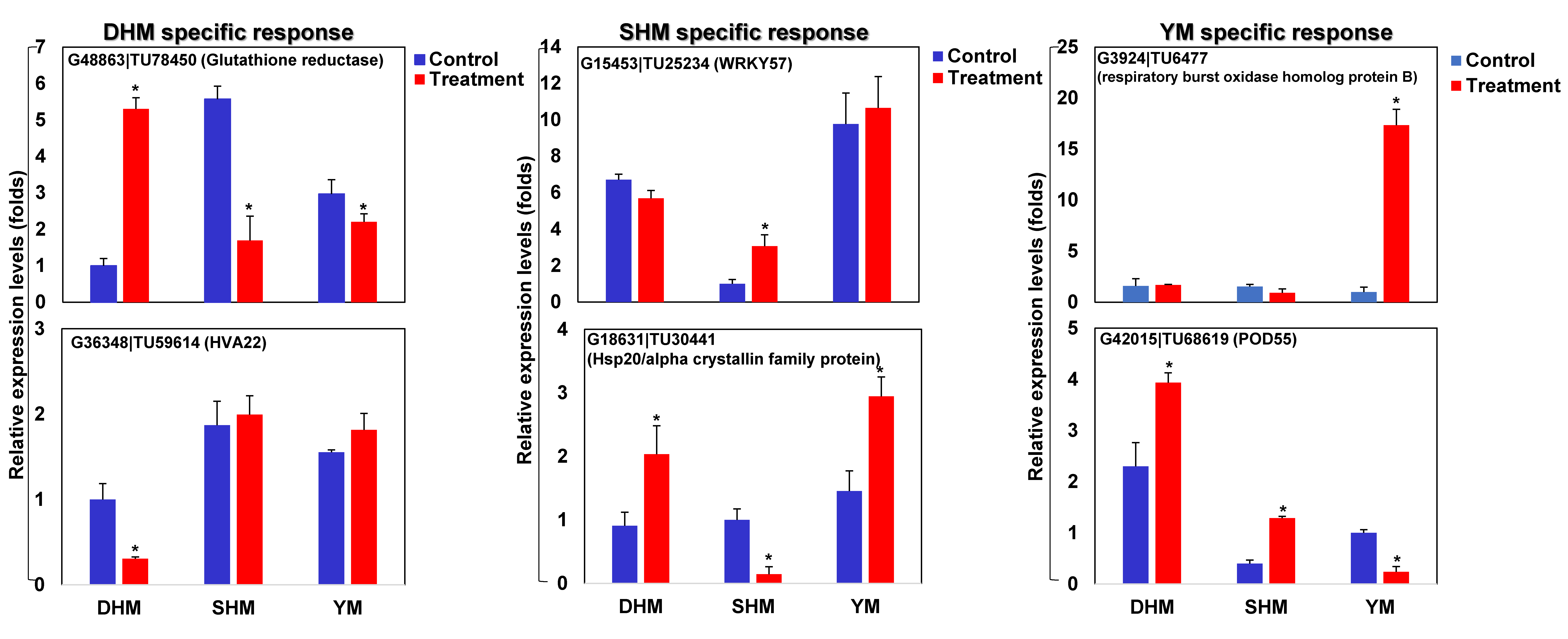 Genes 14 02074 g006