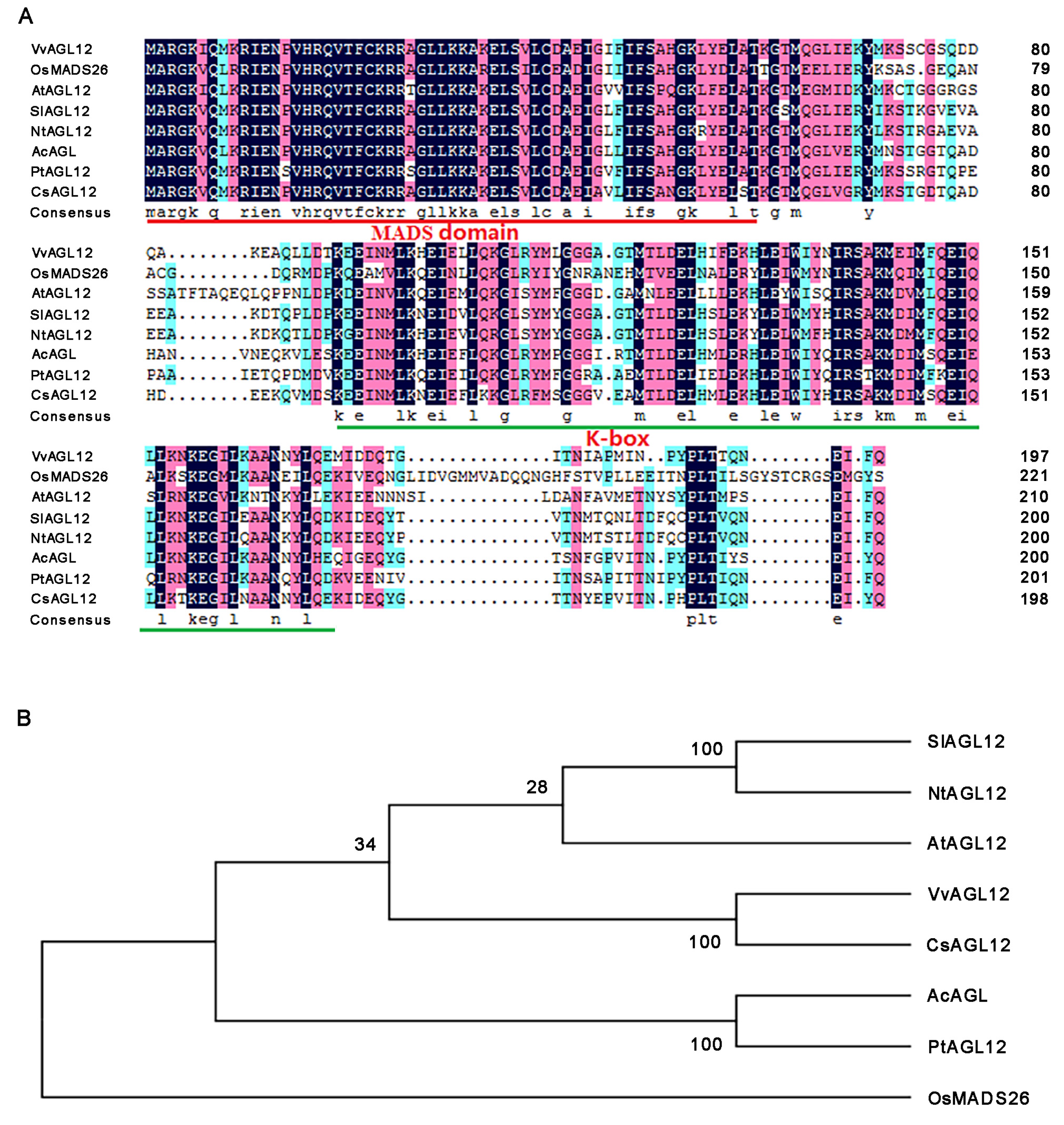Genes 14 02078 g001 Genes 14 02078 g001