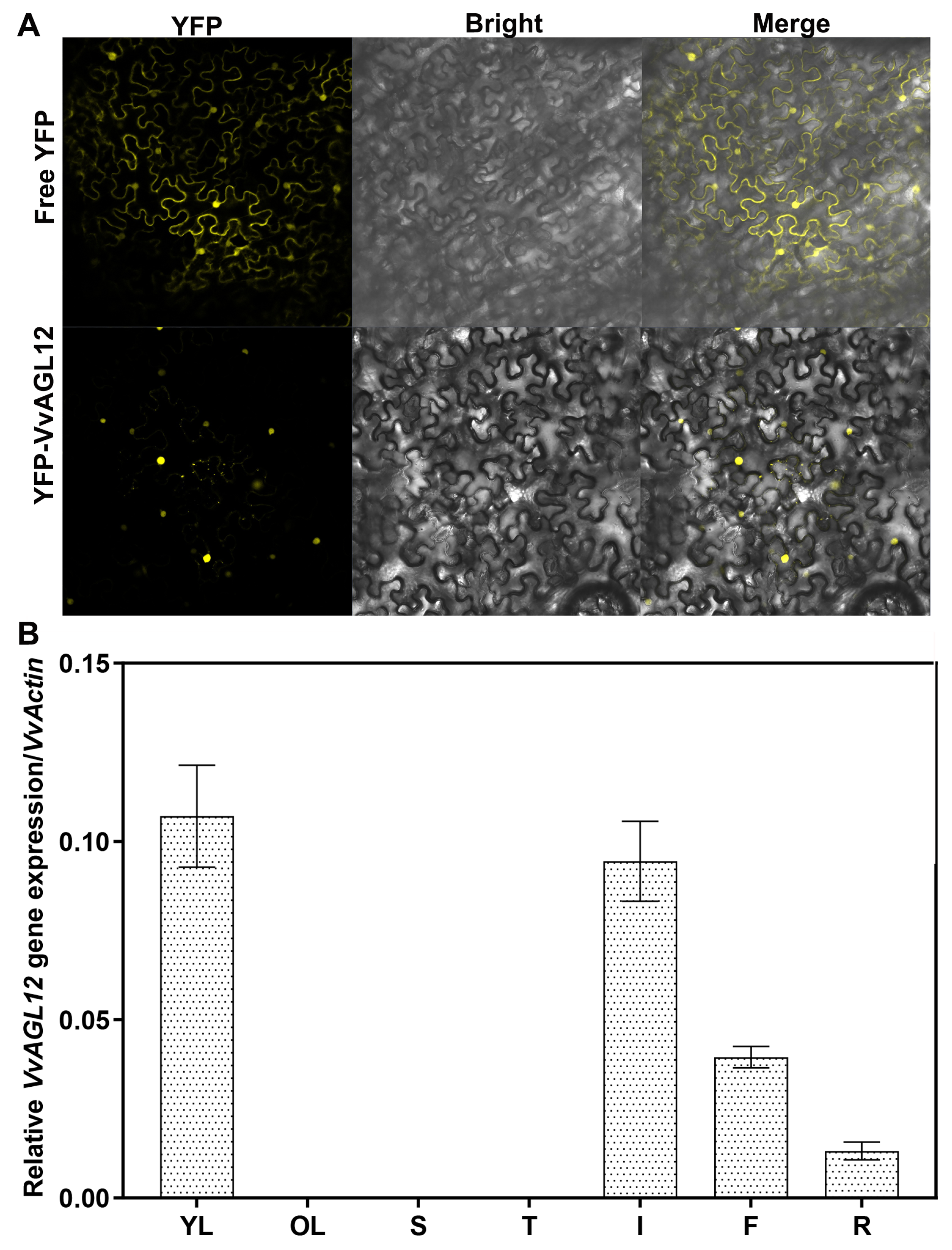 Genes 14 02078 g002 Genes 14 02078 g002