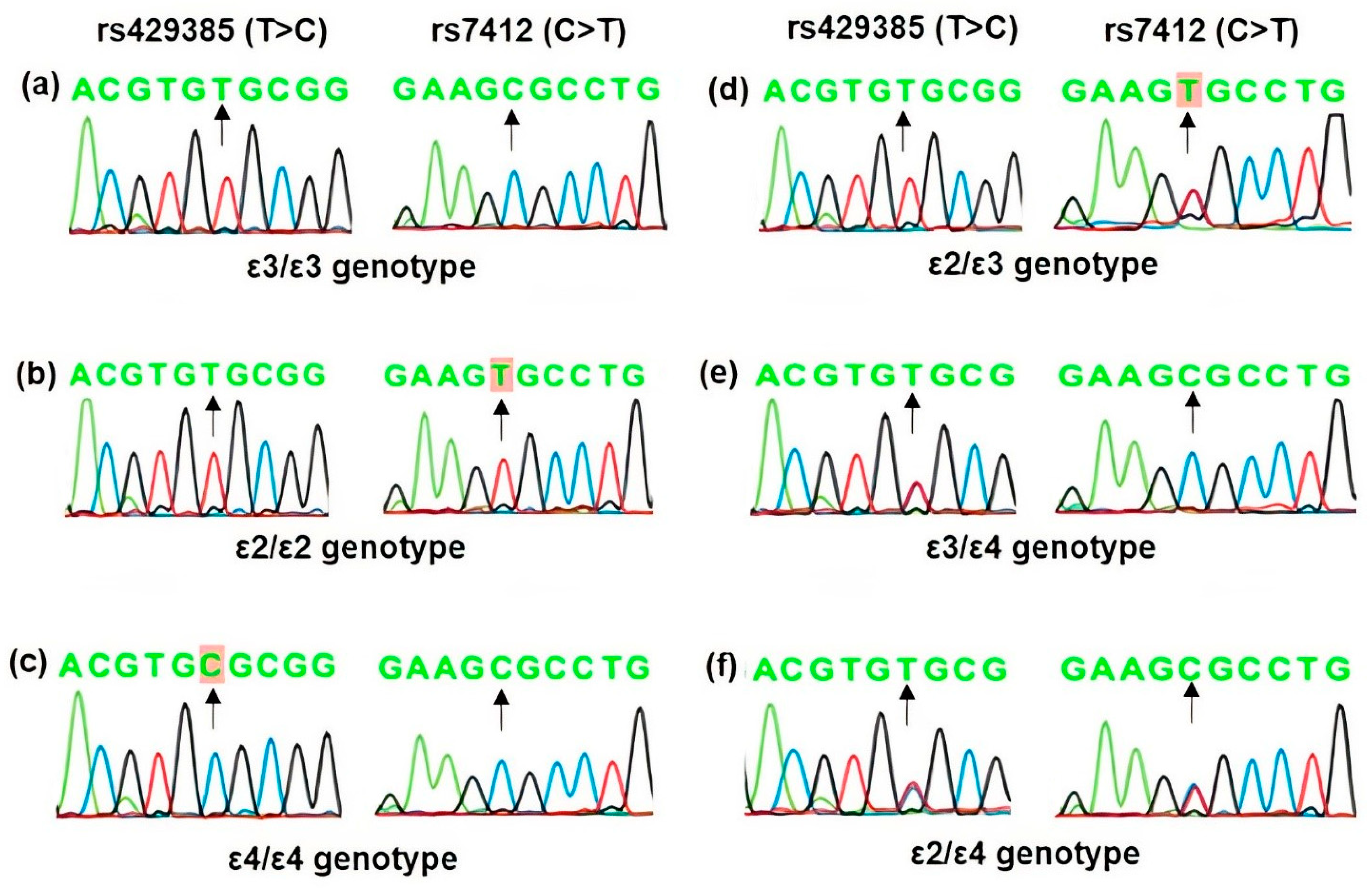 Genes 14 02108 g001