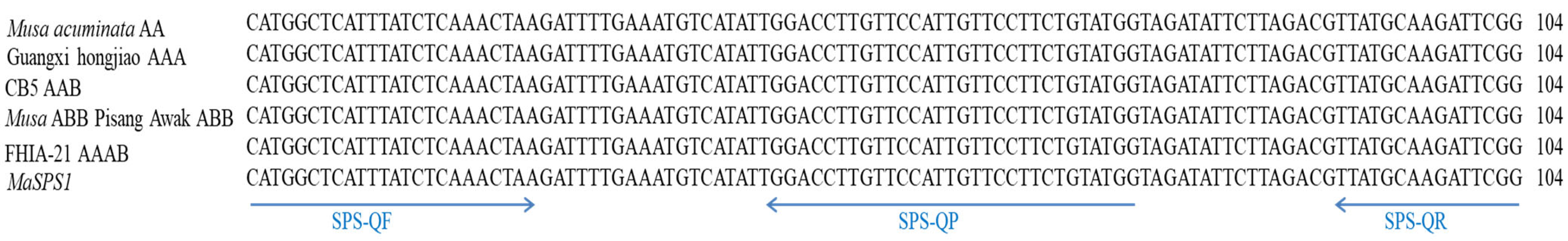 Genes 14 02116 g001 Genes 14 02116 g001