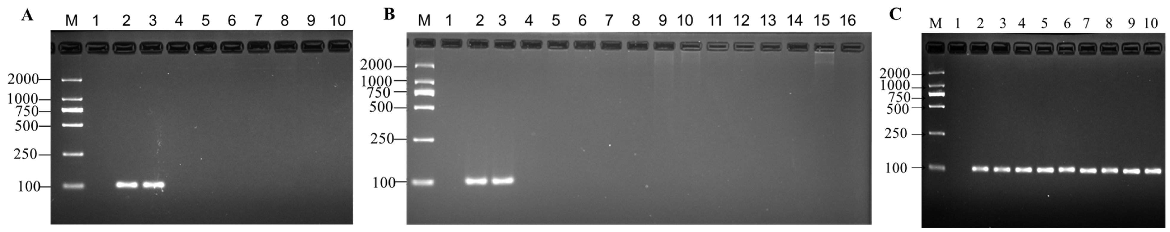 Genes 14 02116 g002 Genes 14 02116 g002