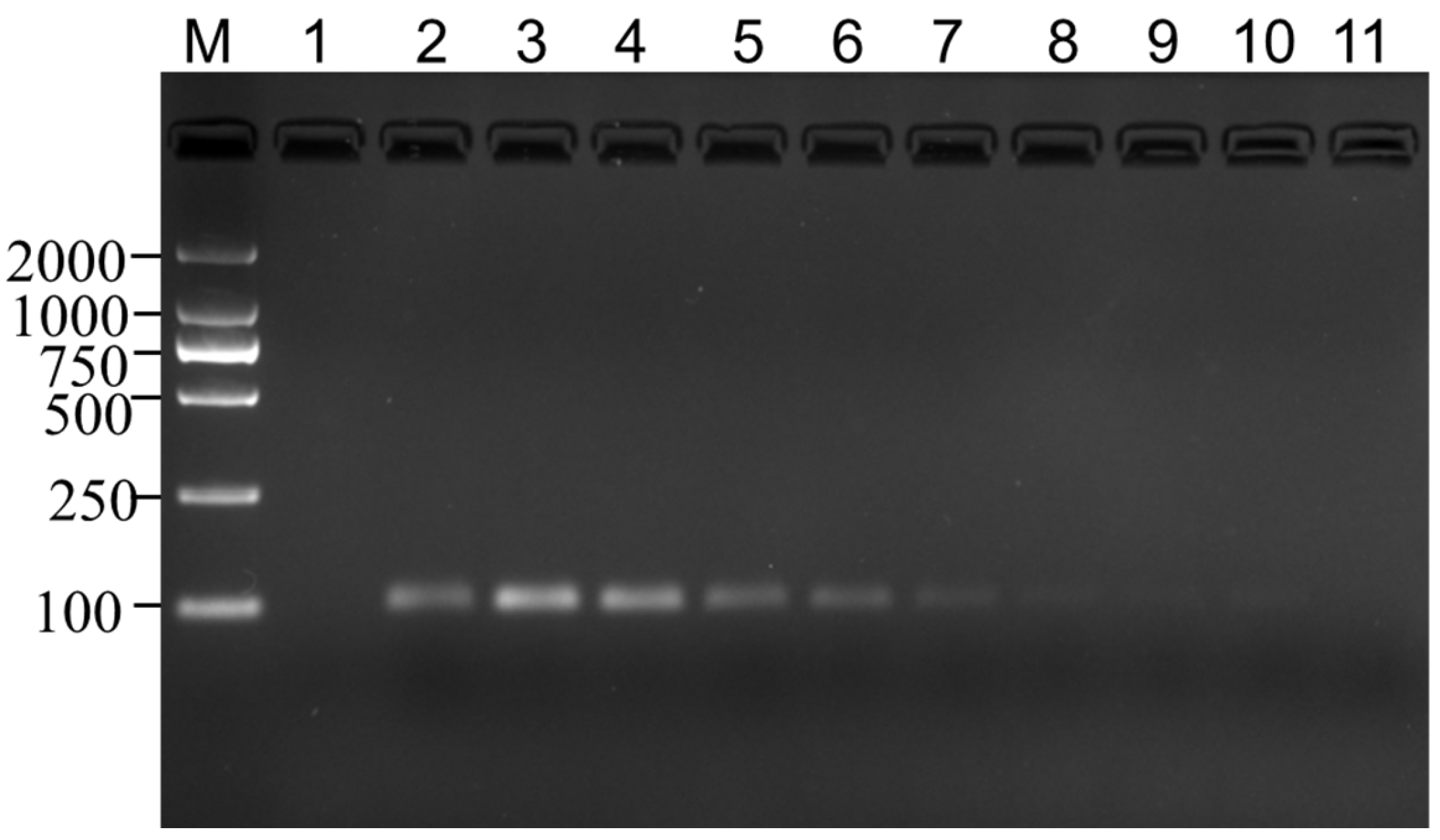 Genes 14 02116 g005 Genes 14 02116 g005