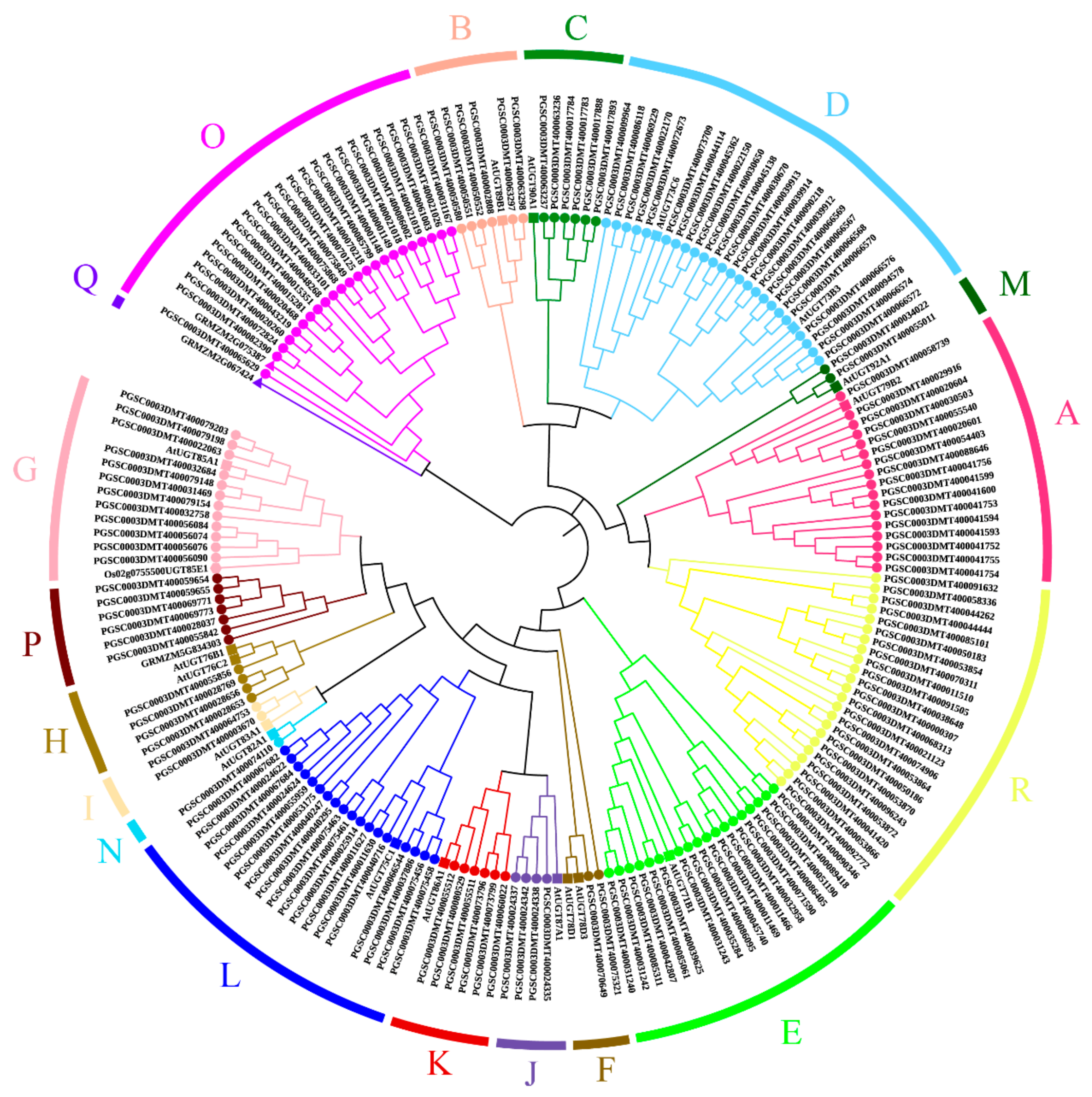 Genes 14 02144 g001