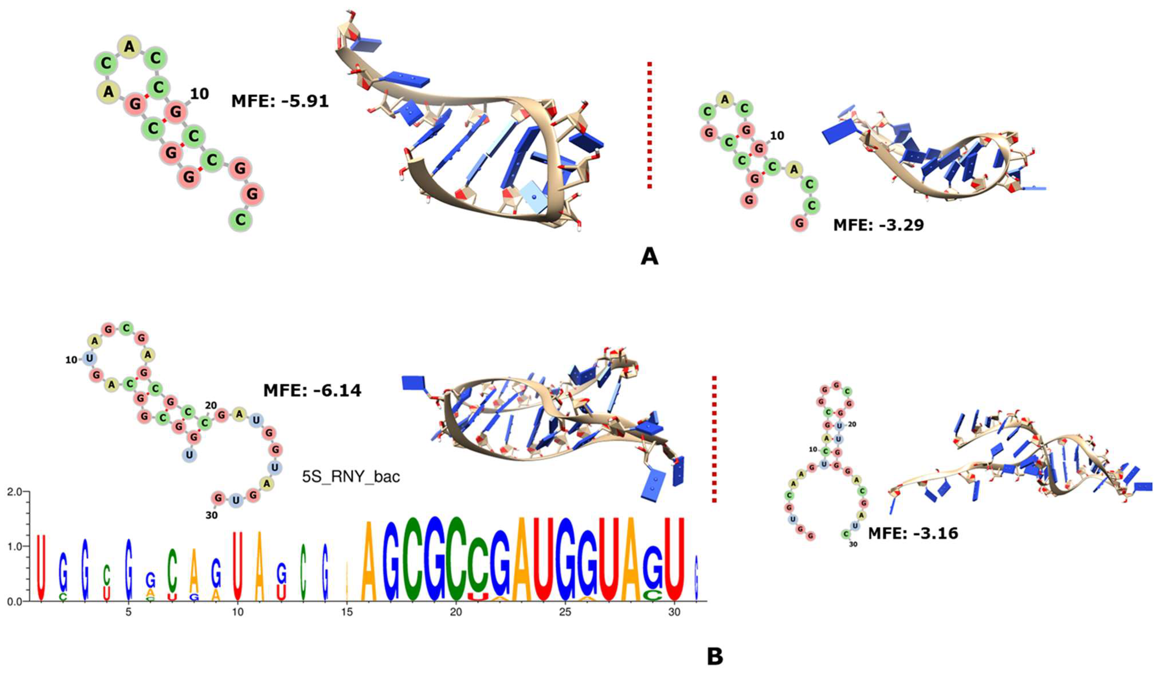Genes 14 02158 g001 Genes 14 02158 g001