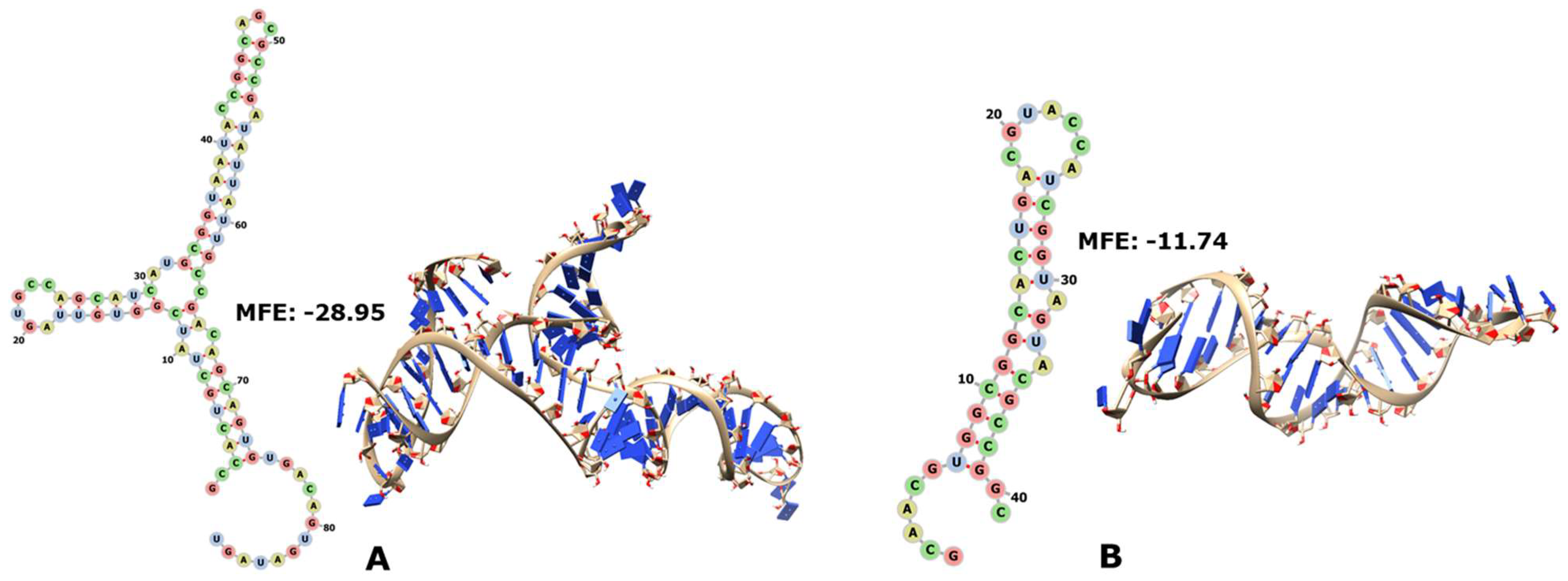 Genes 14 02158 g002 Genes 14 02158 g002