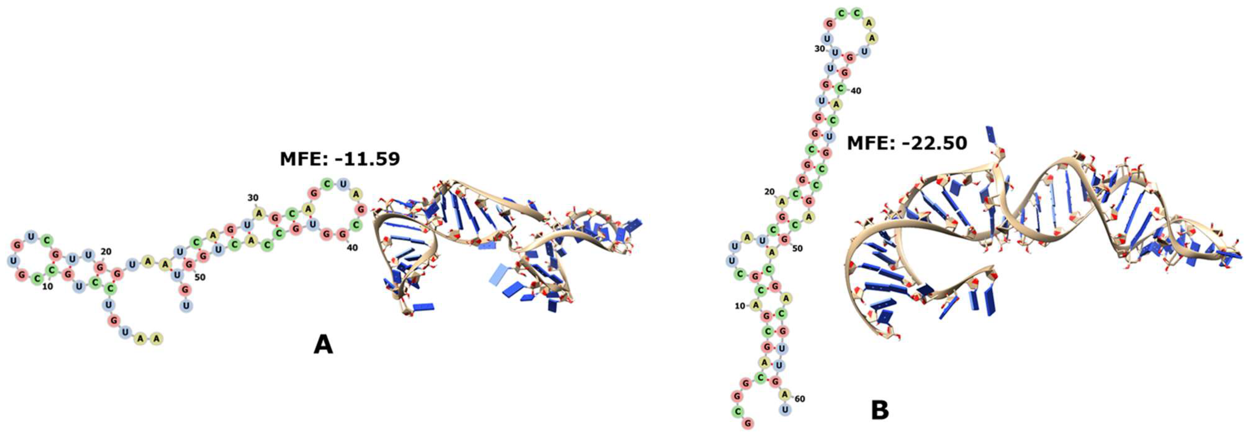 Genes 14 02158 g003 Genes 14 02158 g003
