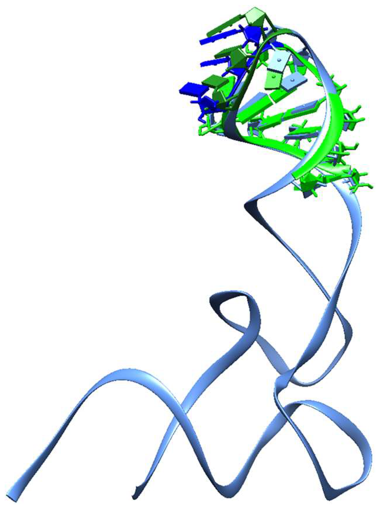 Genes 14 02158 g008 Genes 14 02158 g008