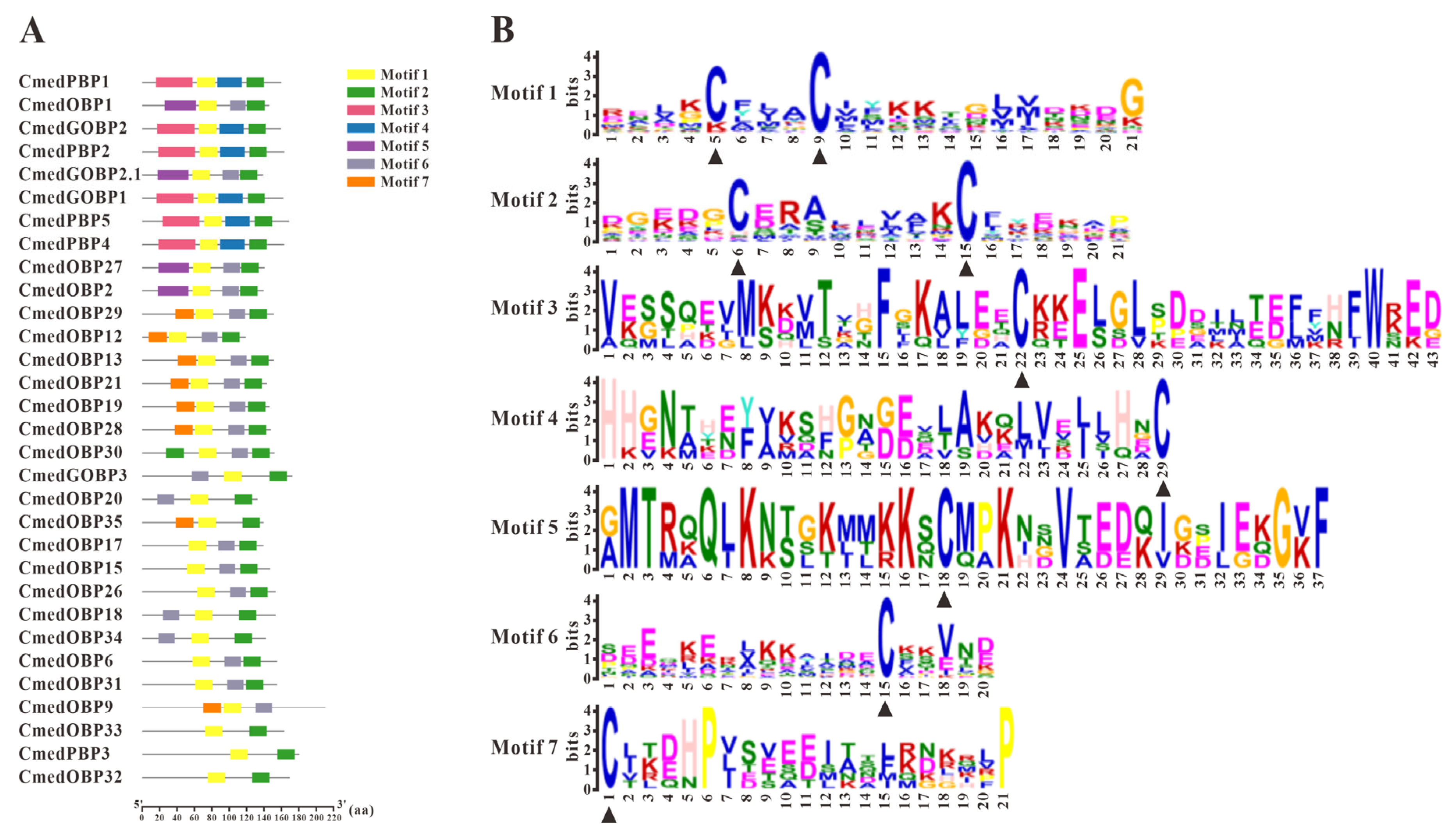 Genes 14 02165 g002