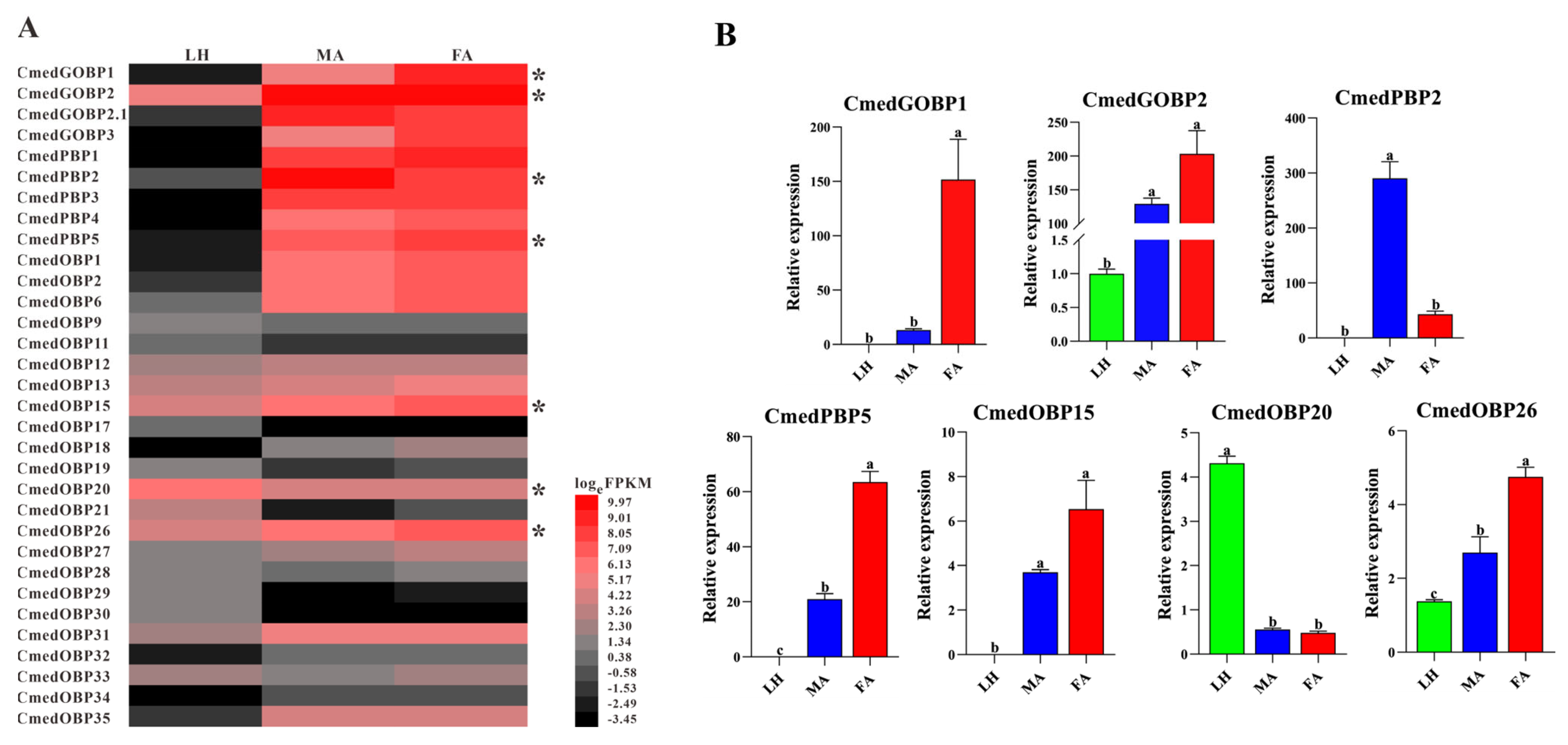 Genes 14 02165 g004