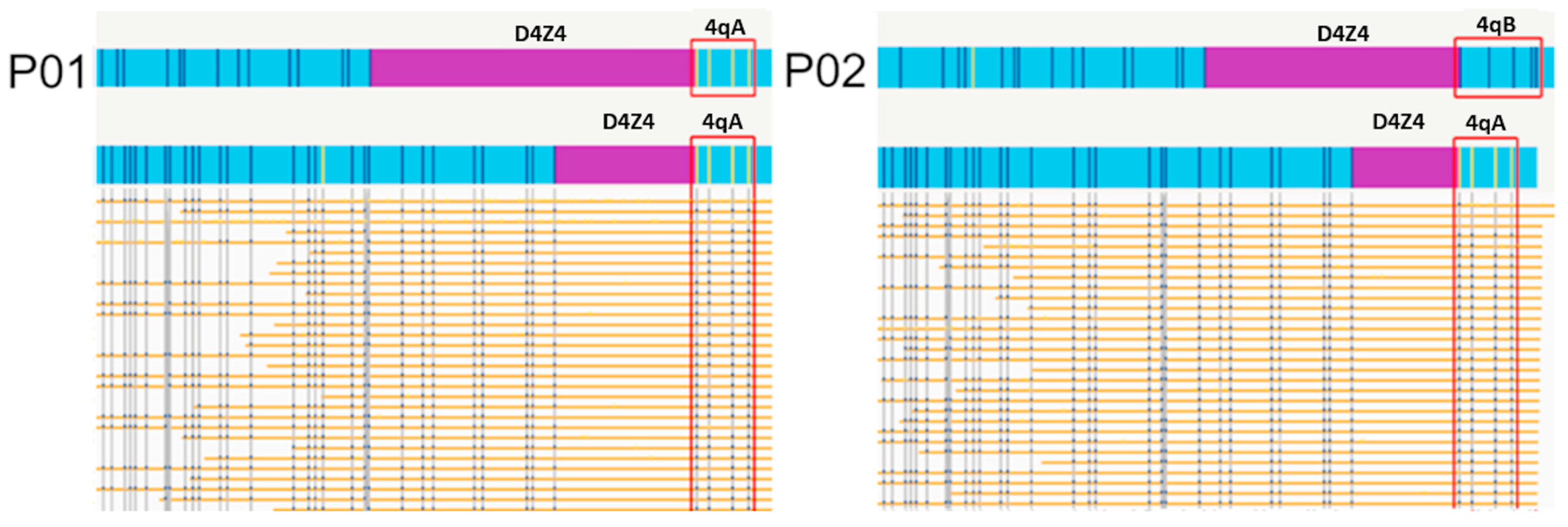 Genes 14 02166 g001