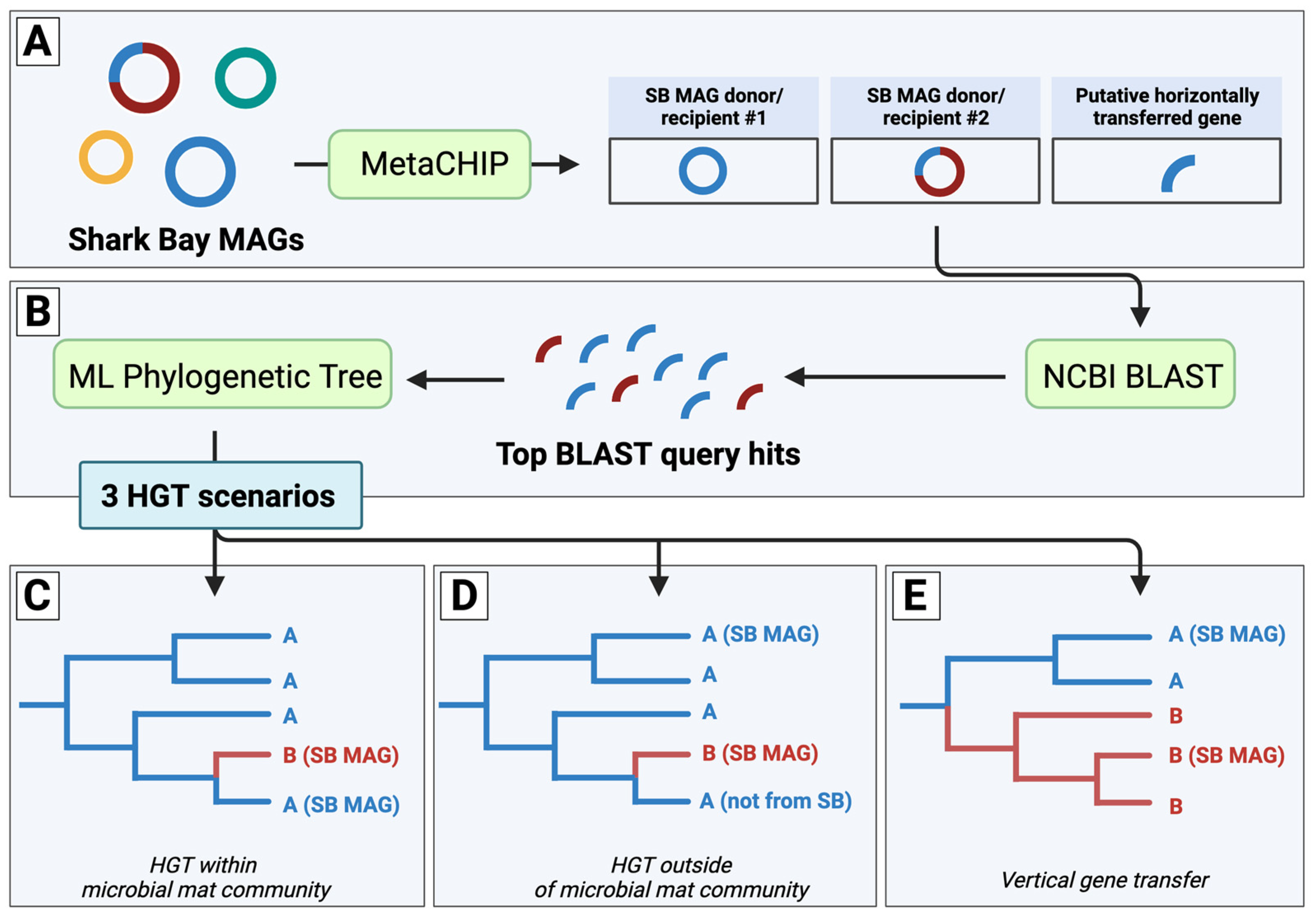 Genes 14 02168 g001