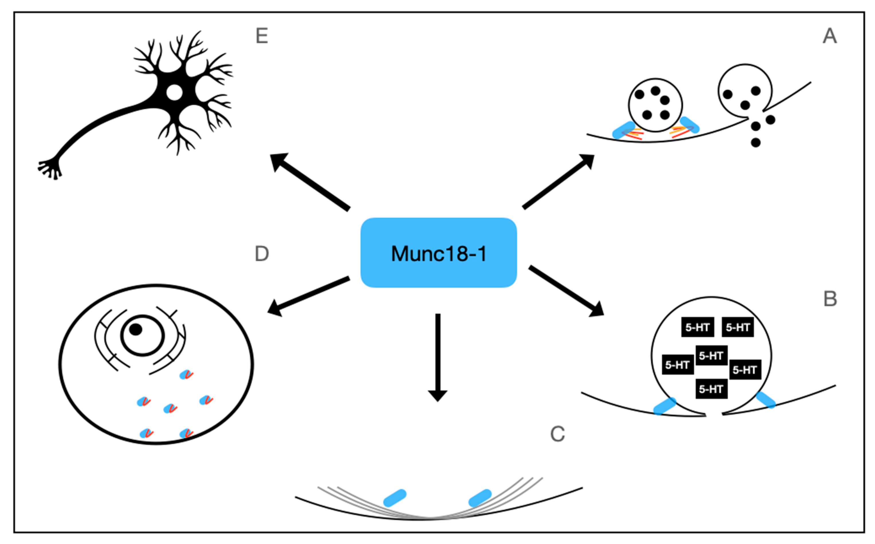 Genes 14 02179 g001