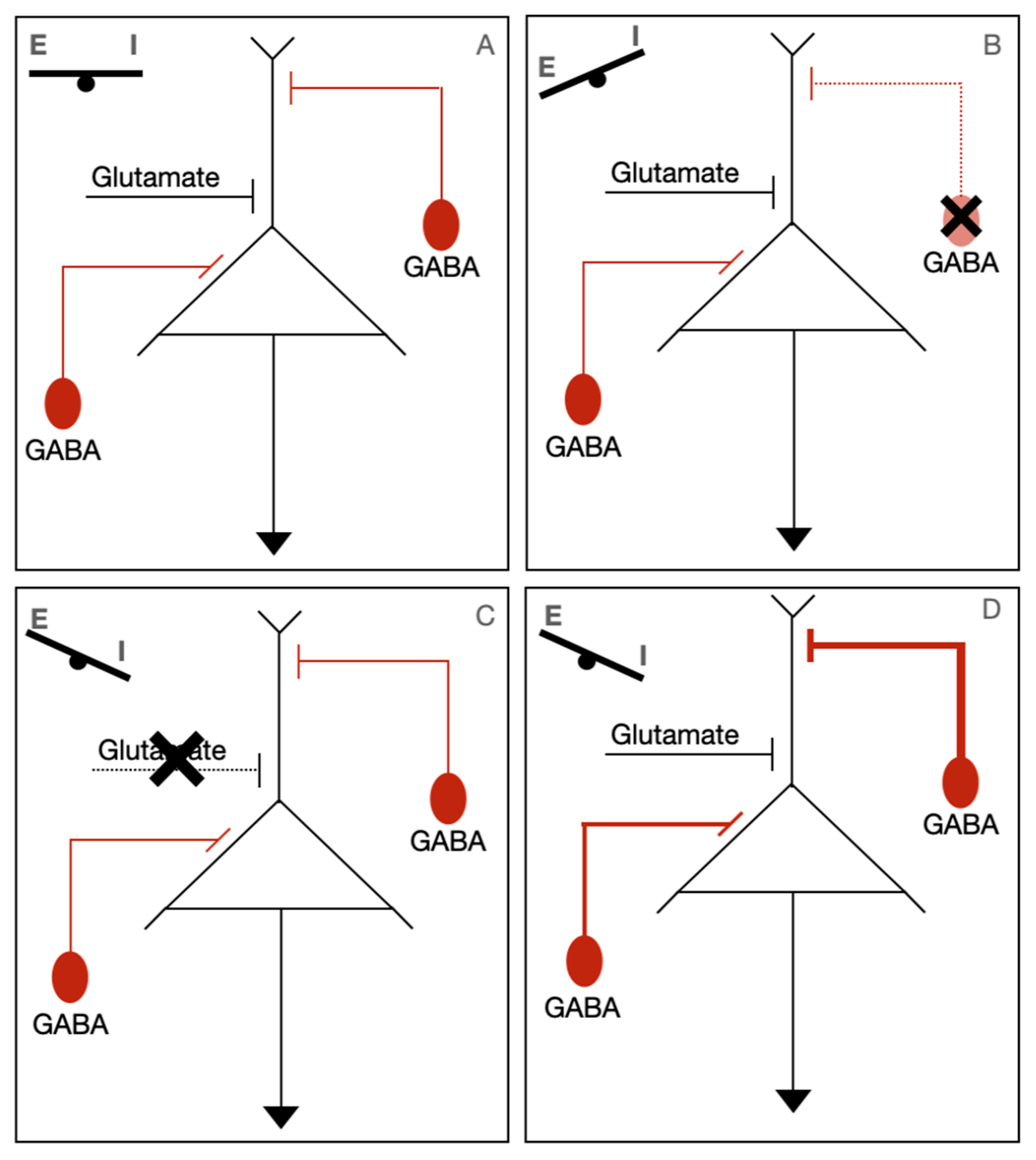 Genes 14 02179 g002