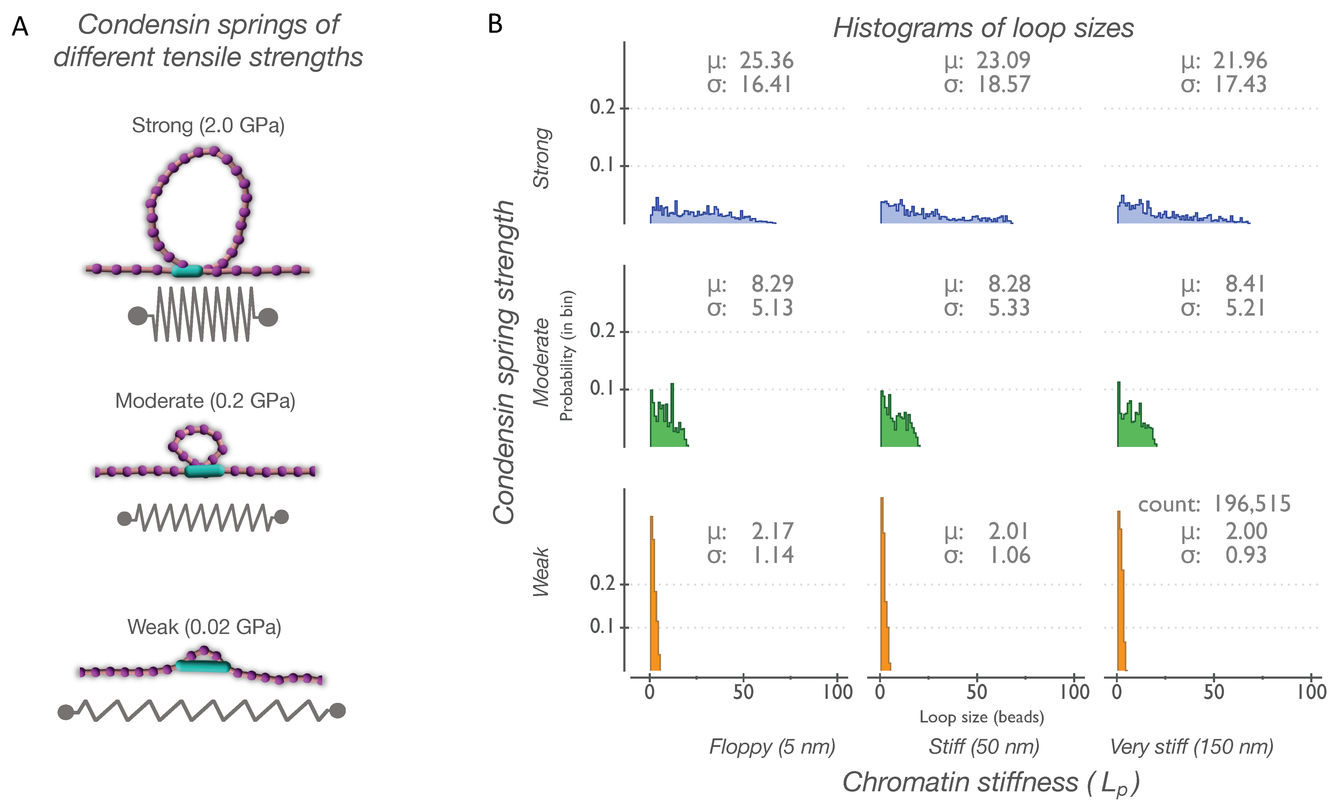 Genes 14 02193 g001