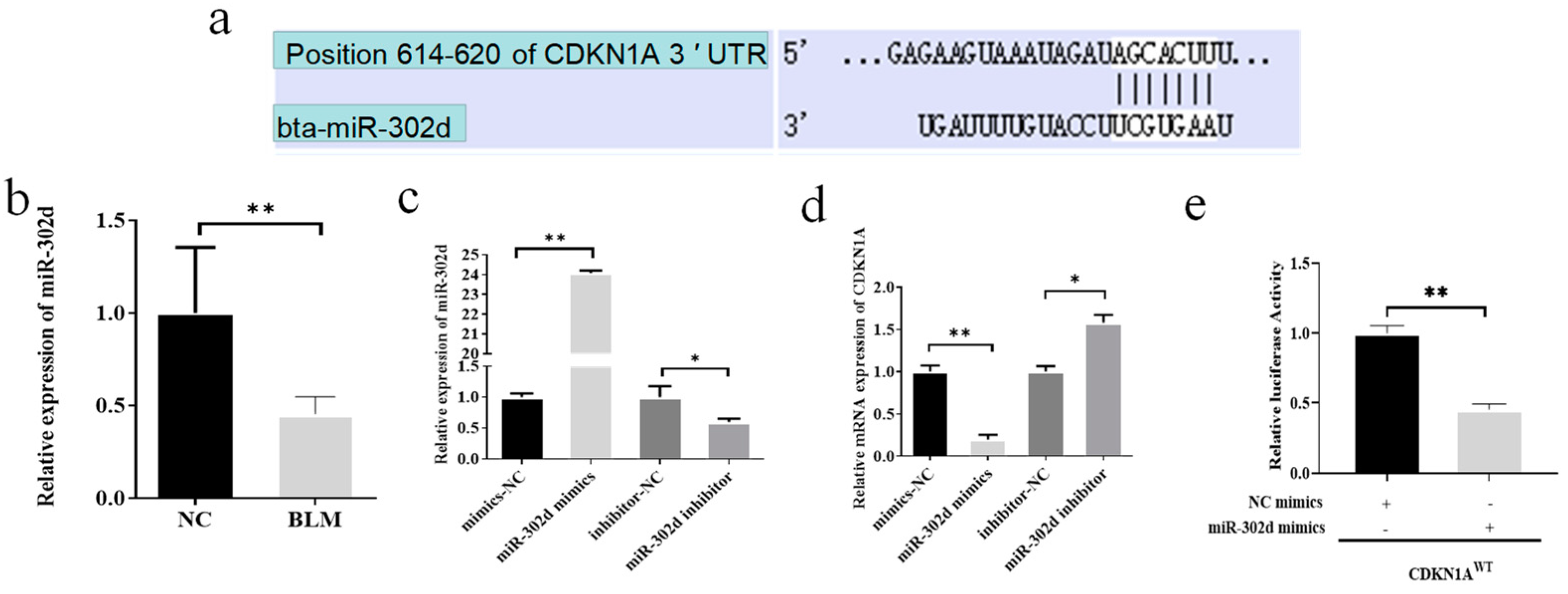 Genes 14 02195 g003
