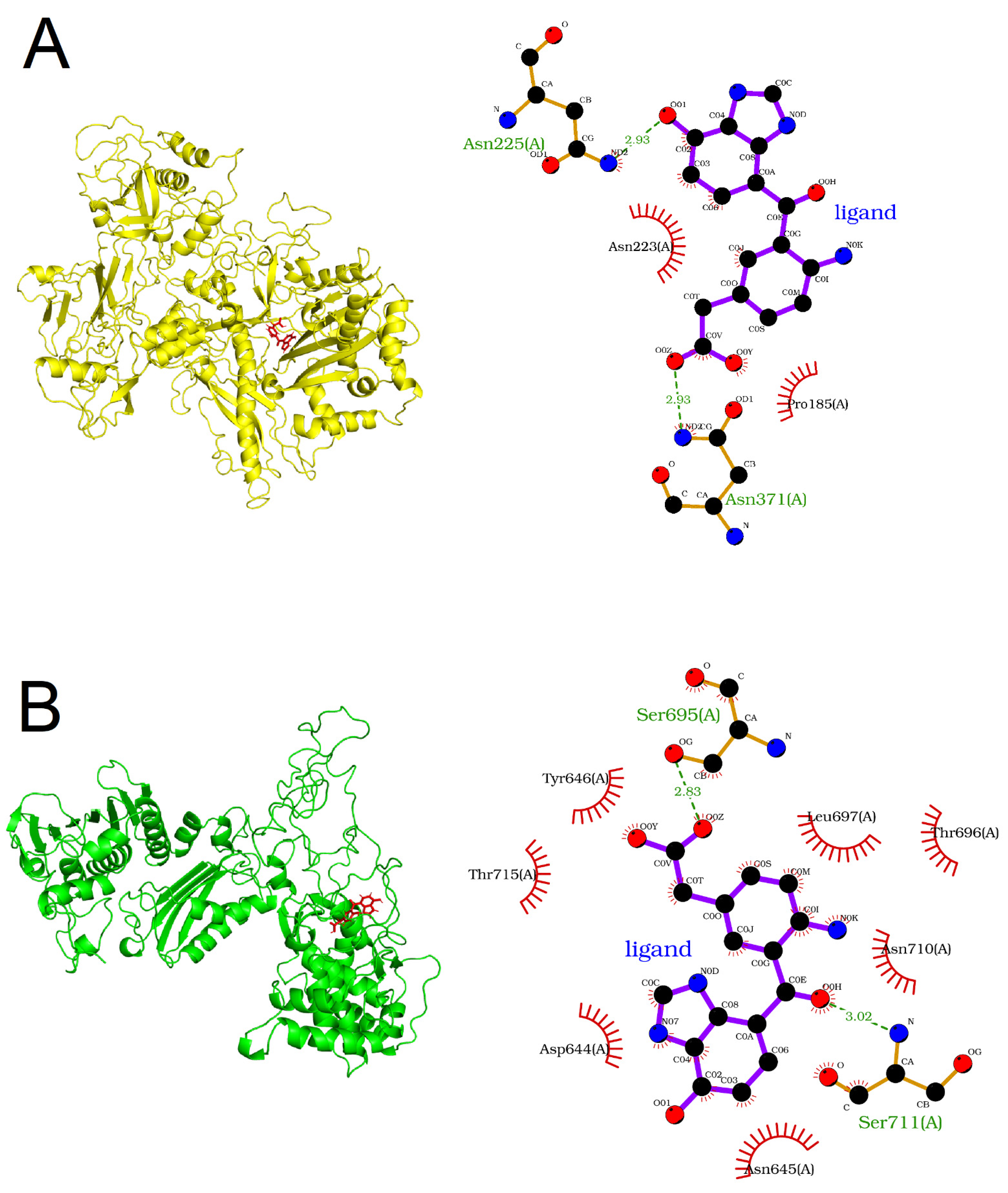 Genes 14 02227 g004 Genes 14 02227 g004