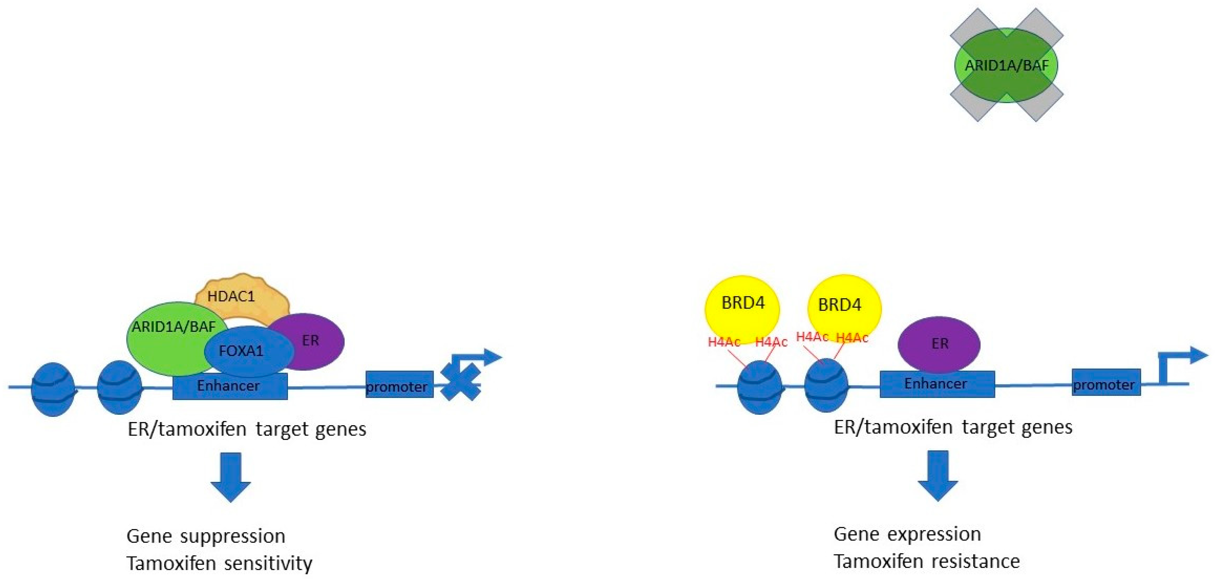 Genes 15 00005 g008