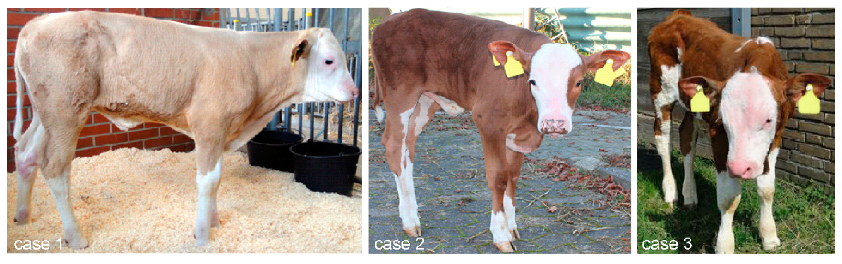 Genes 15 00008 g002 Genes 15 00008 g002