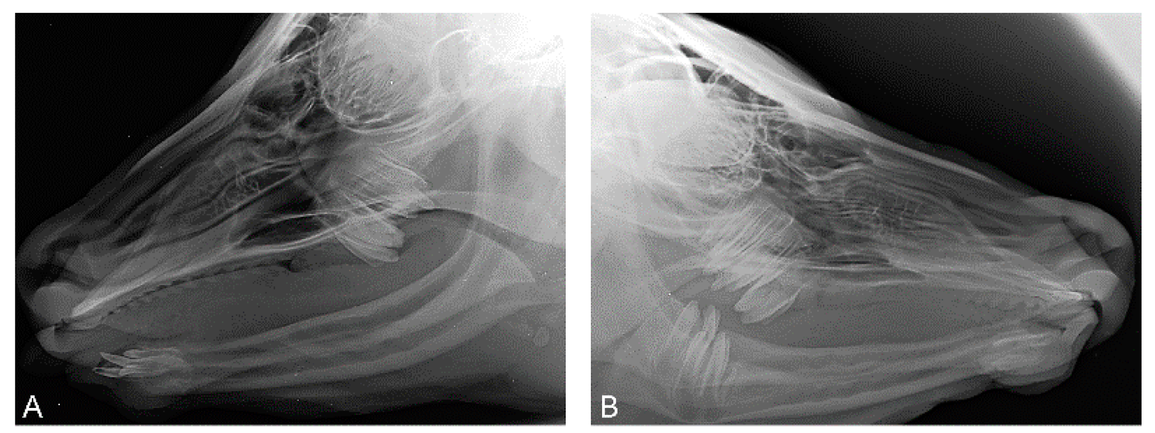 Genes 15 00008 g003 Genes 15 00008 g003