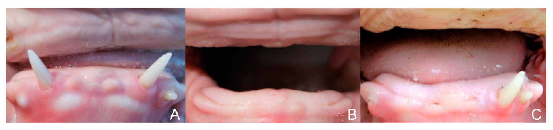 Genes 15 00008 g004 Genes 15 00008 g004