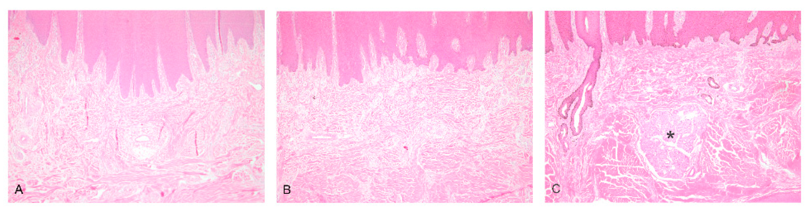 Genes 15 00008 g005 Genes 15 00008 g005