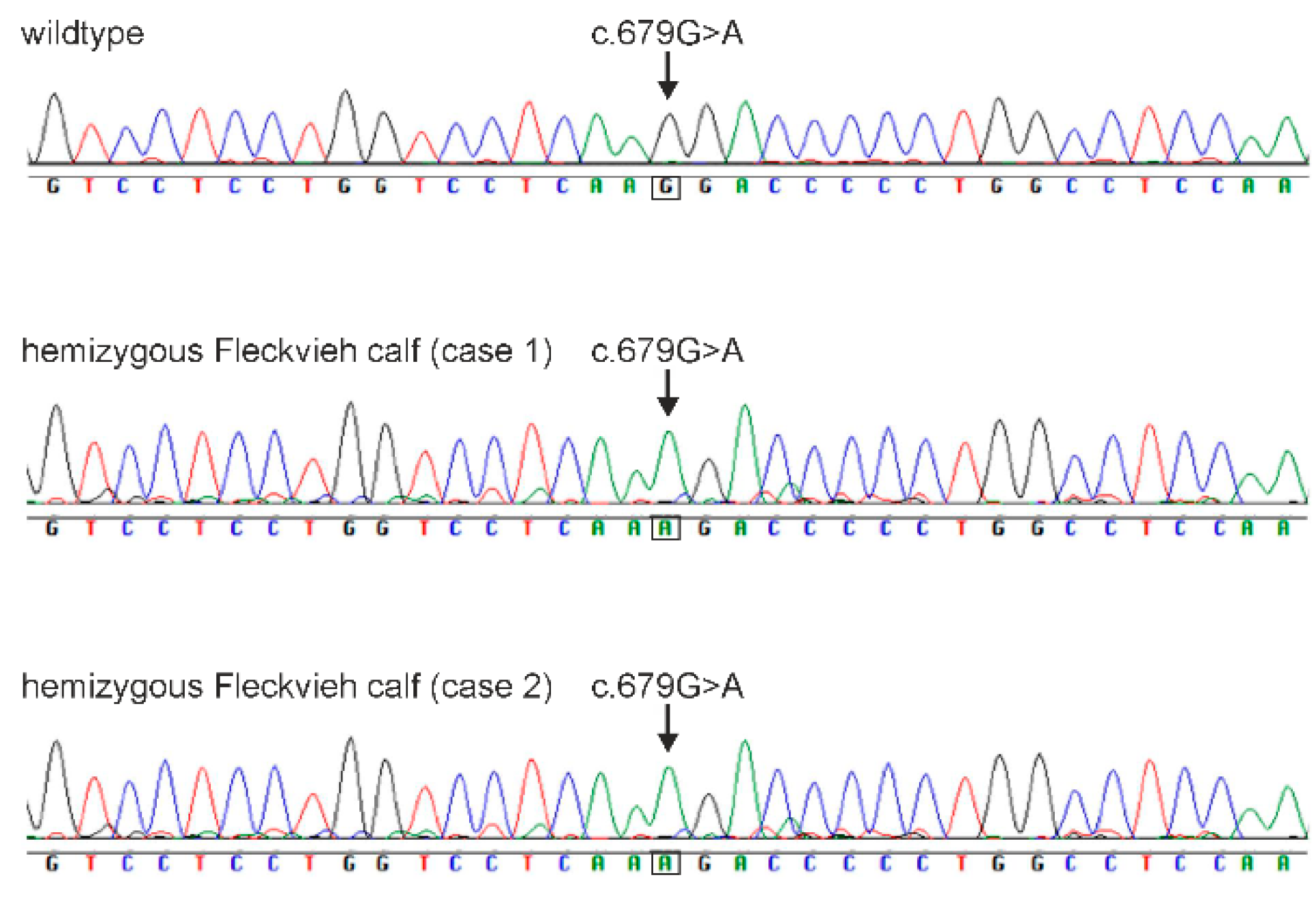 Genes 15 00008 g006 Genes 15 00008 g006