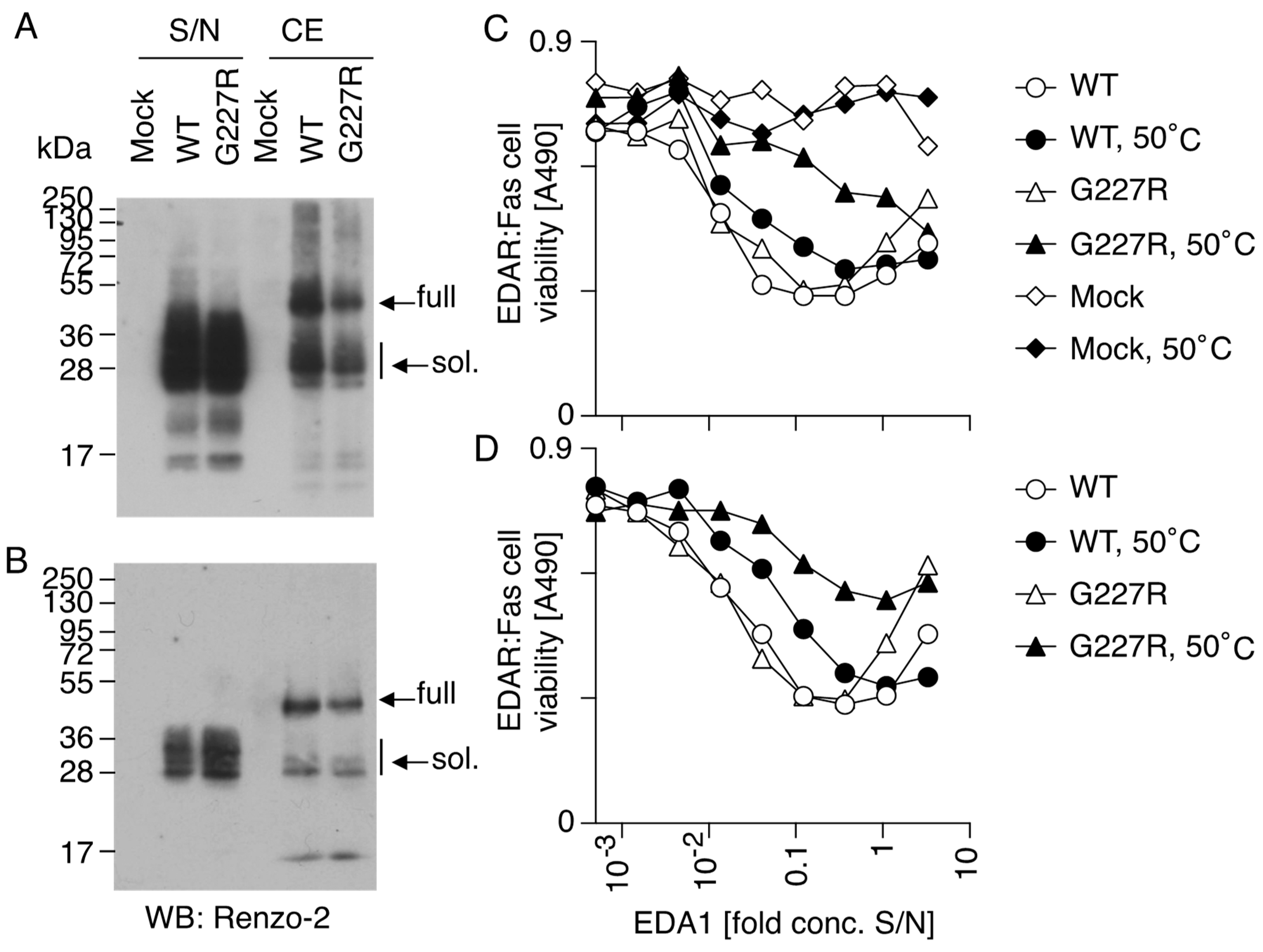 Genes 15 00008 g007 Genes 15 00008 g007