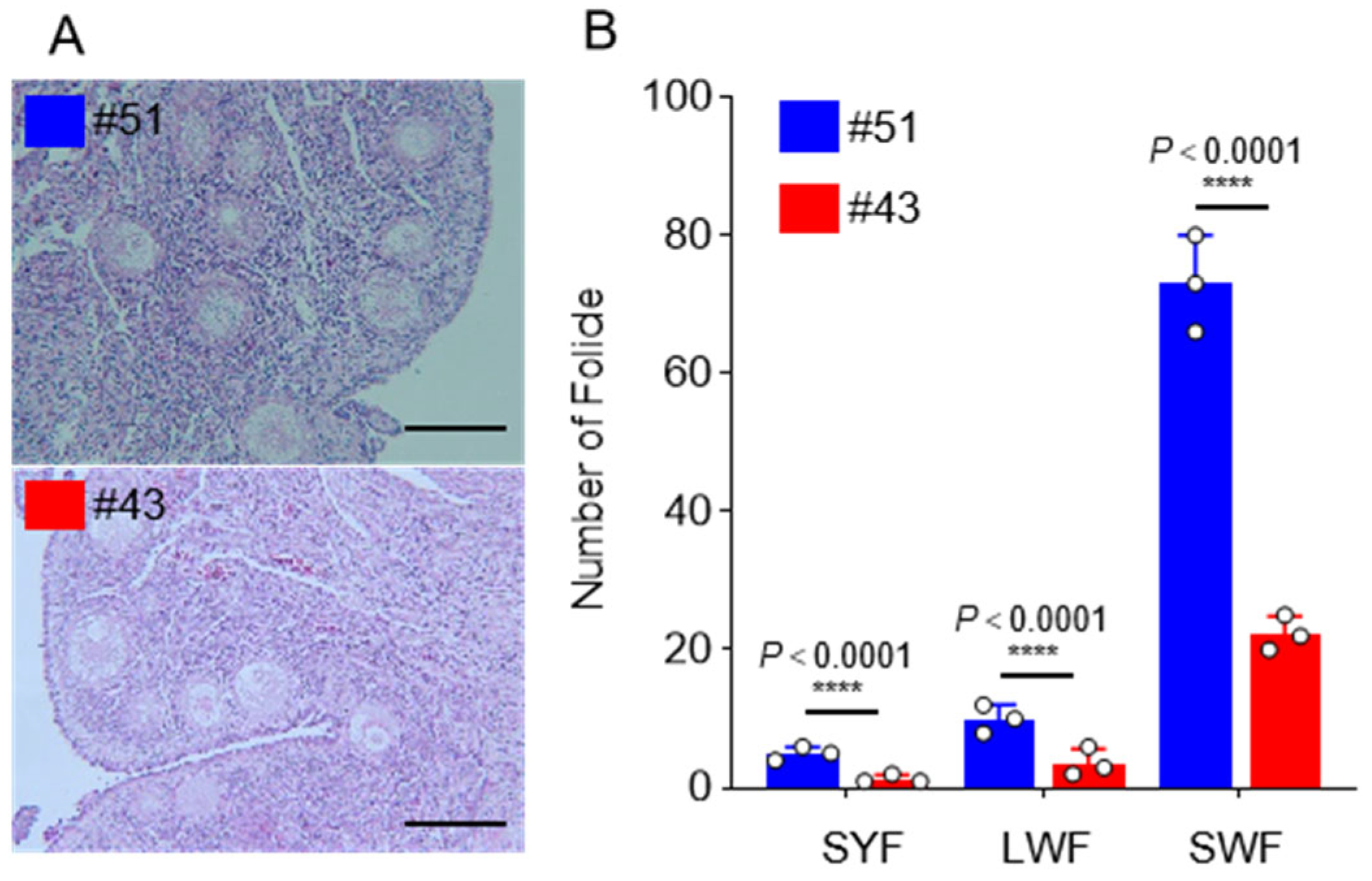 Genes 15 00009 g002 Genes 15 00009 g002