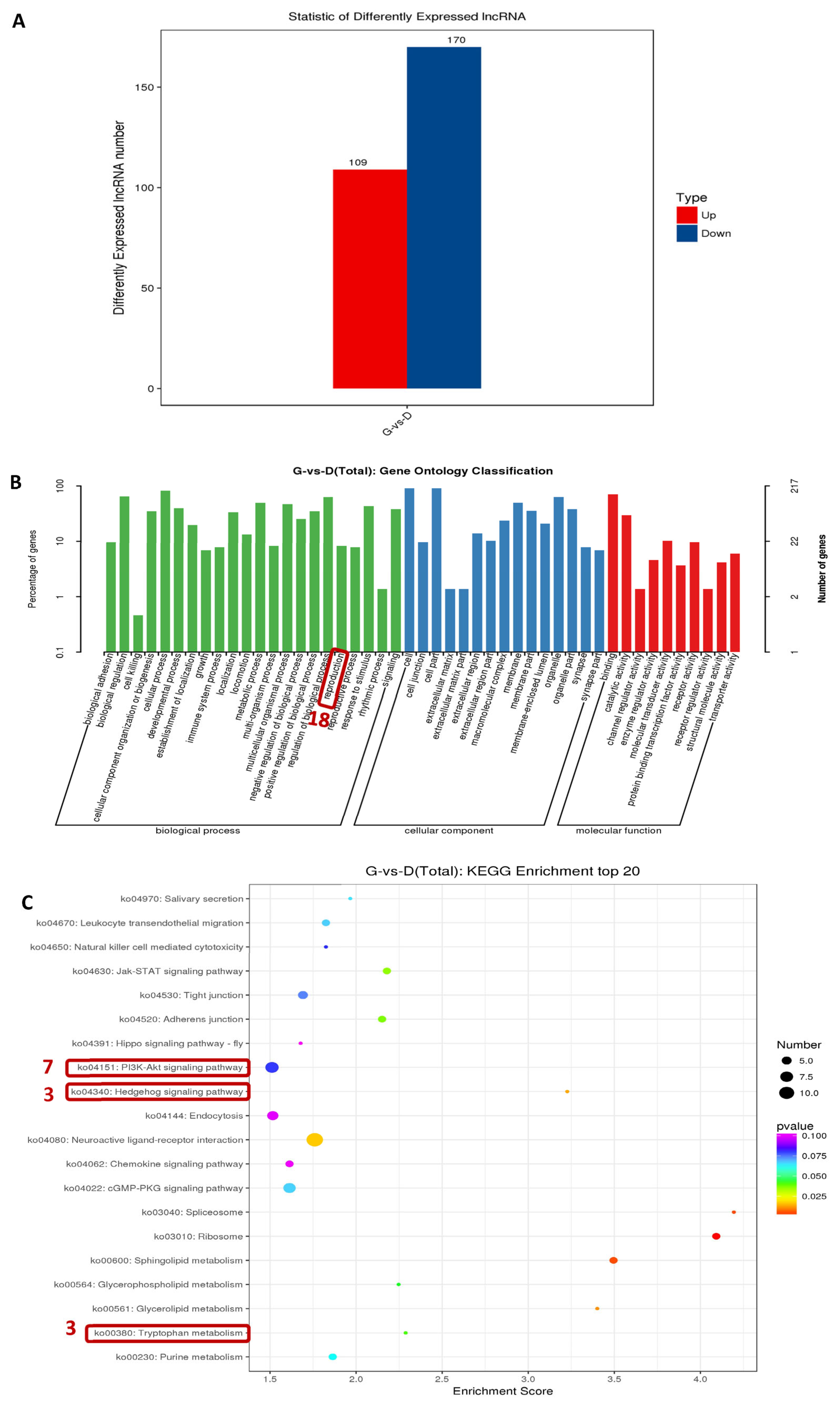 Genes 15 00009 g005 Genes 15 00009 g005