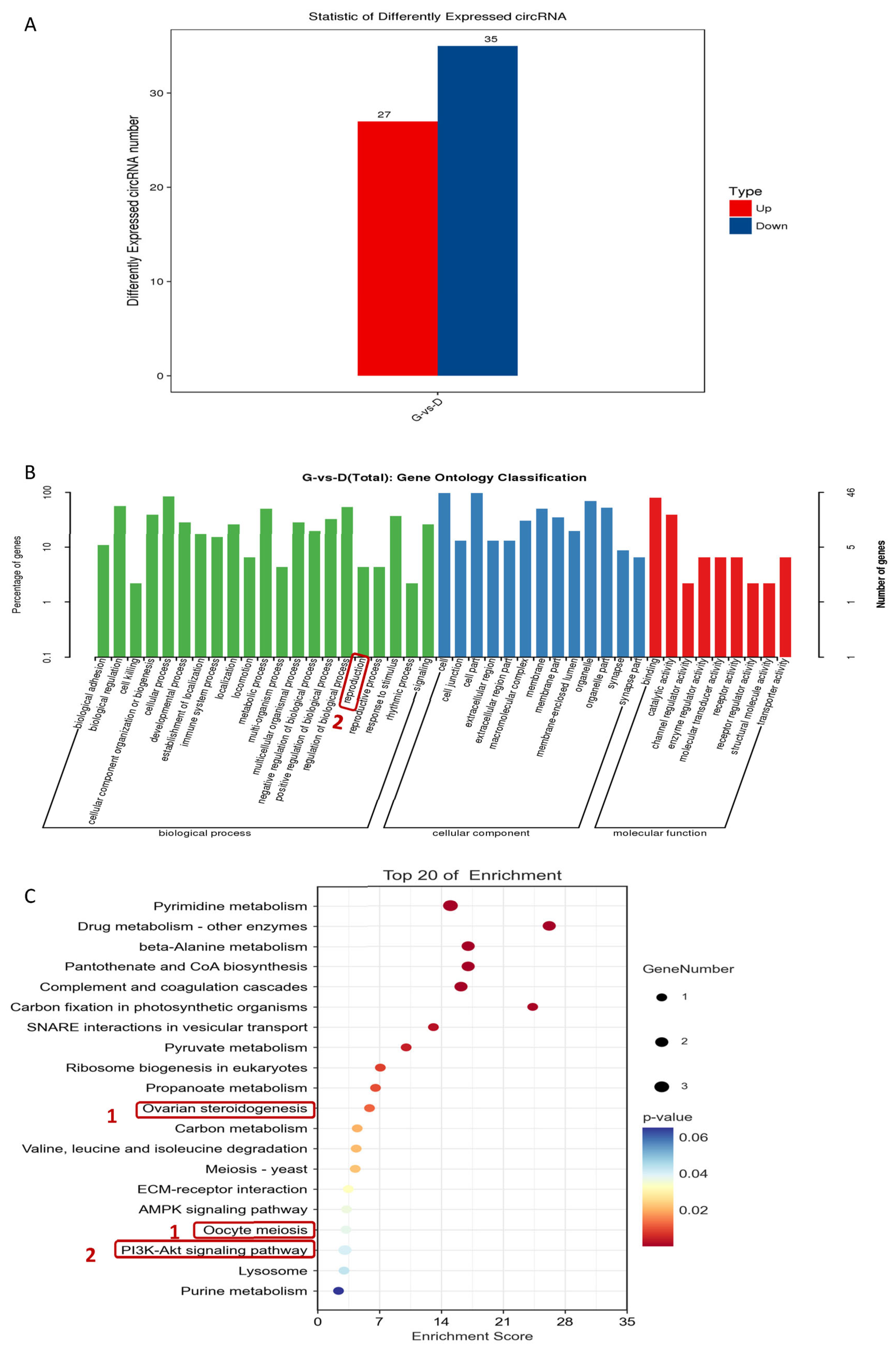 Genes 15 00009 g007 Genes 15 00009 g007