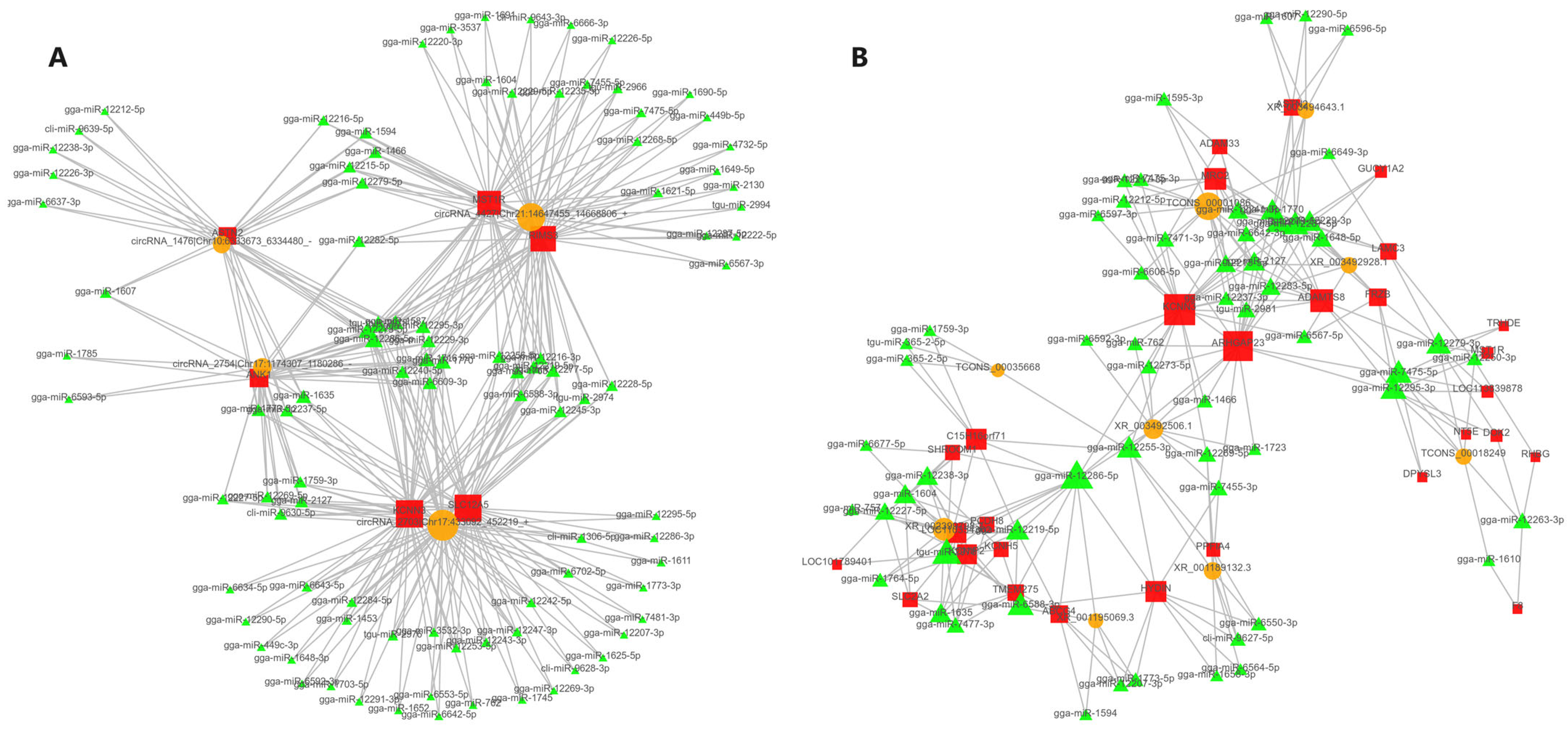 Genes 15 00009 g009 Genes 15 00009 g009