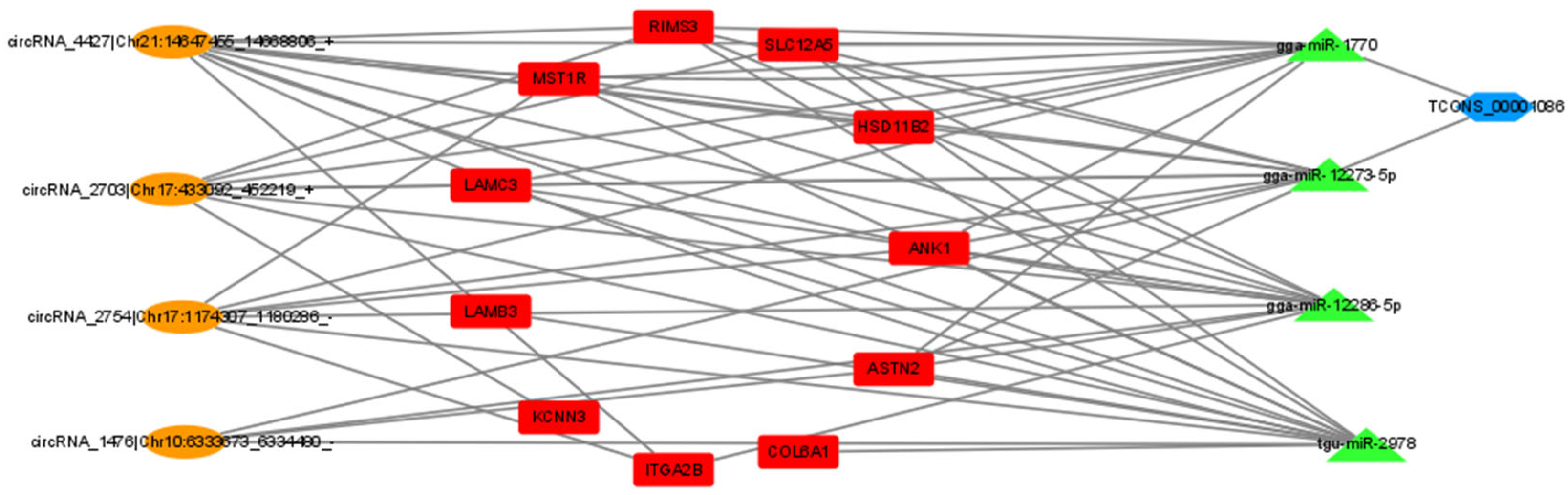 Genes 15 00009 g010 Genes 15 00009 g010