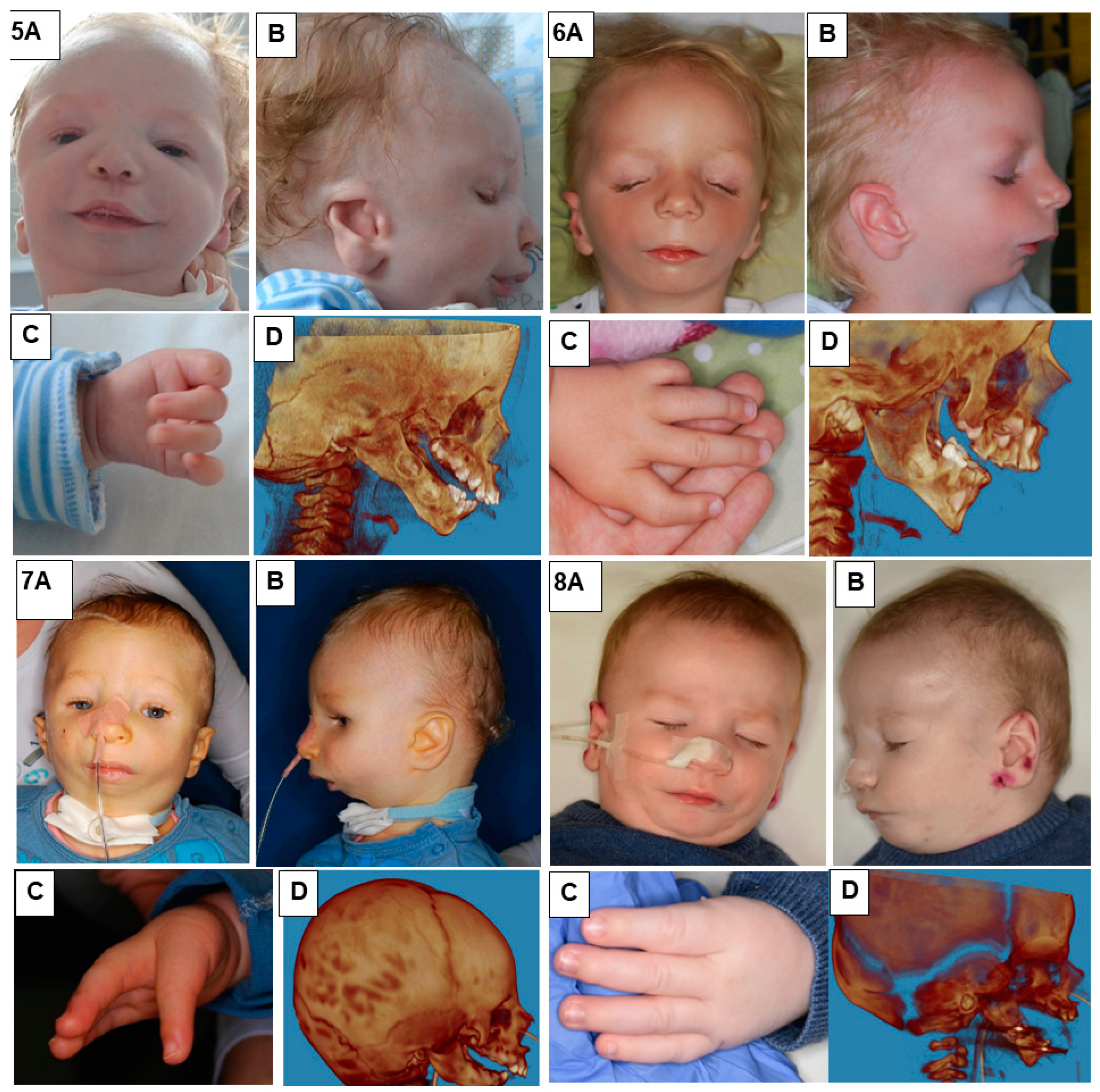 Genes 15 00029 g002 Genes 15 00029 g002