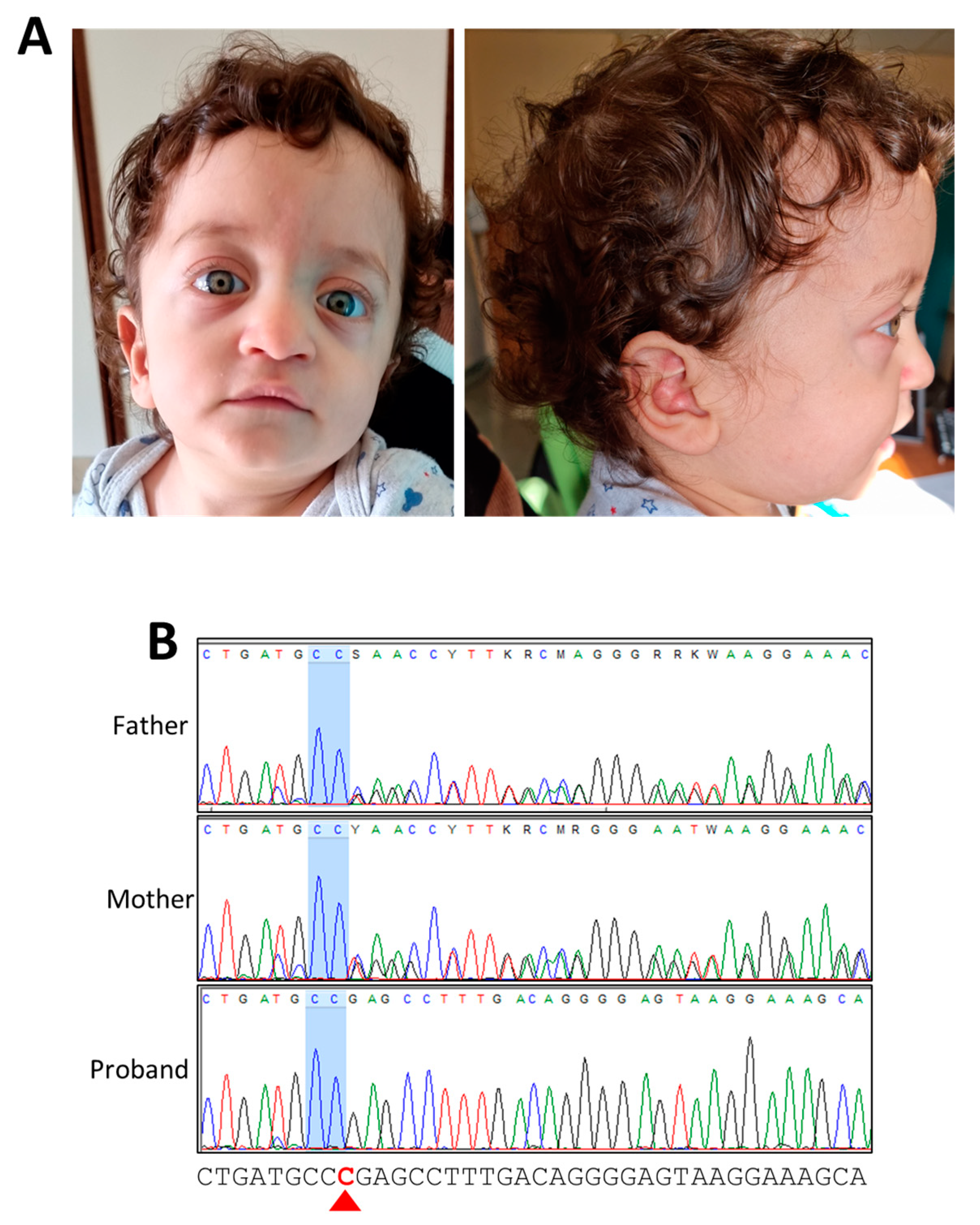 Genes 15 00032 g001 Genes 15 00032 g001