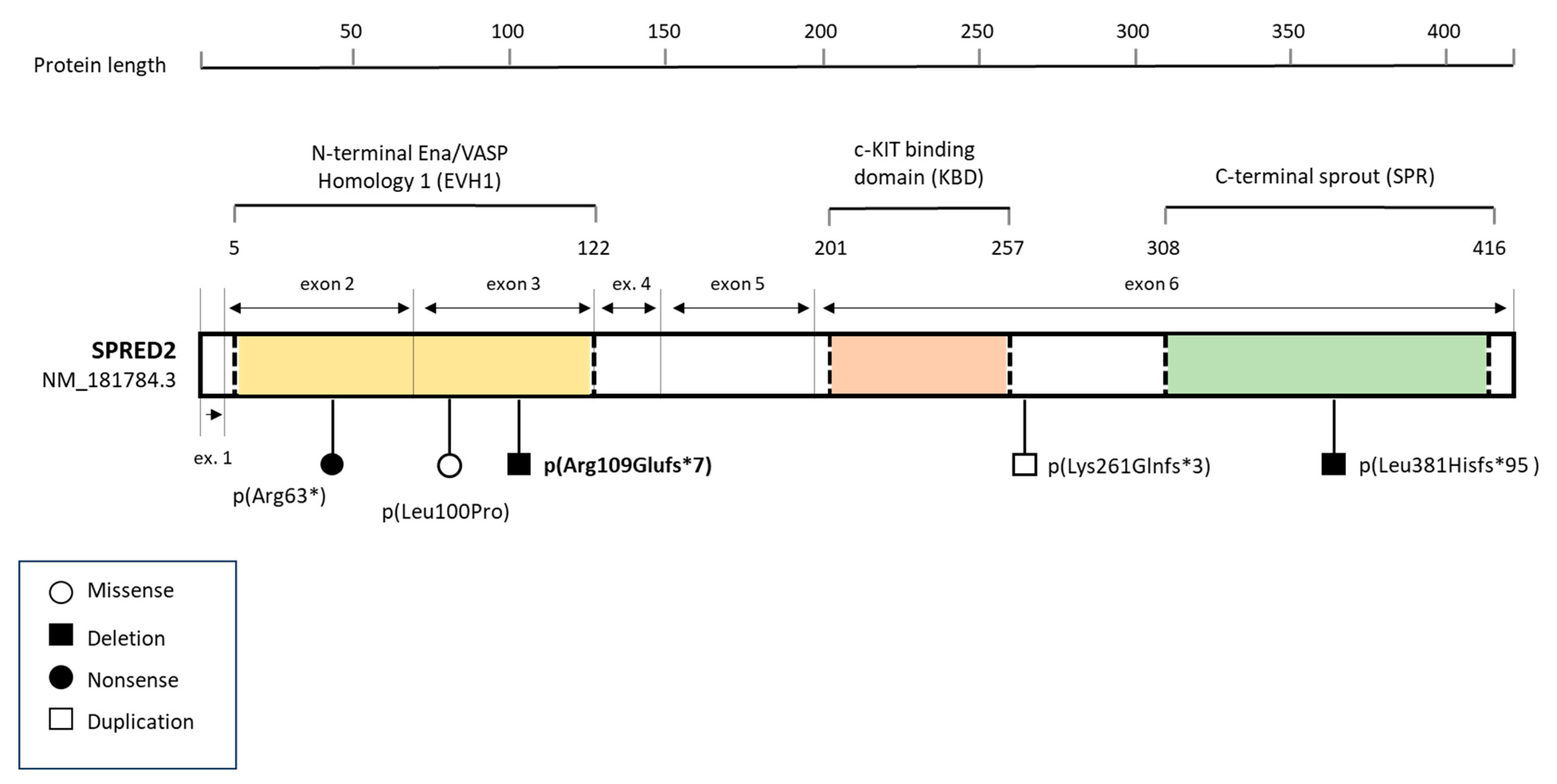 Genes 15 00032 g003 Genes 15 00032 g003