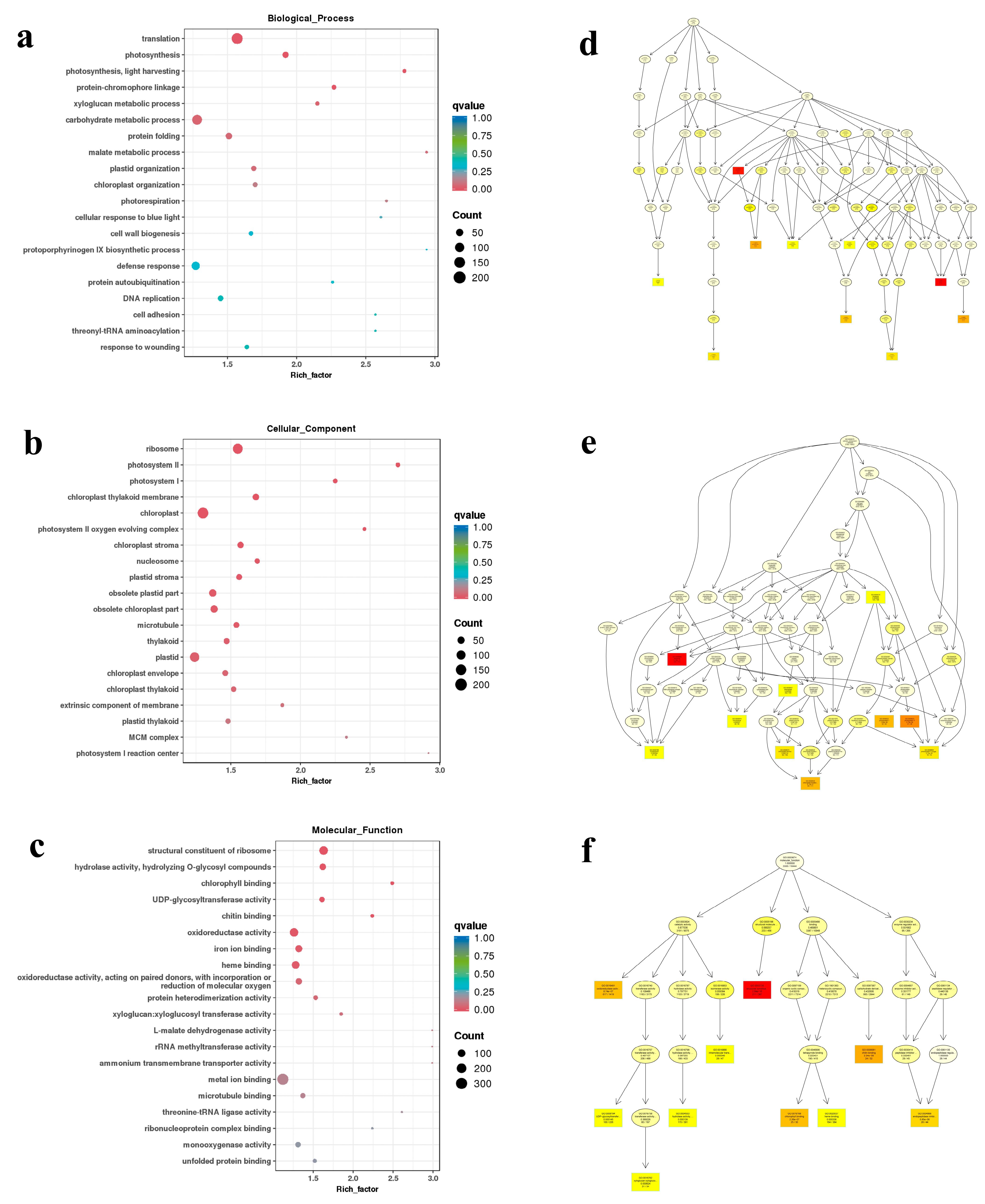 Genes 15 00036 g004 Genes 15 00036 g004